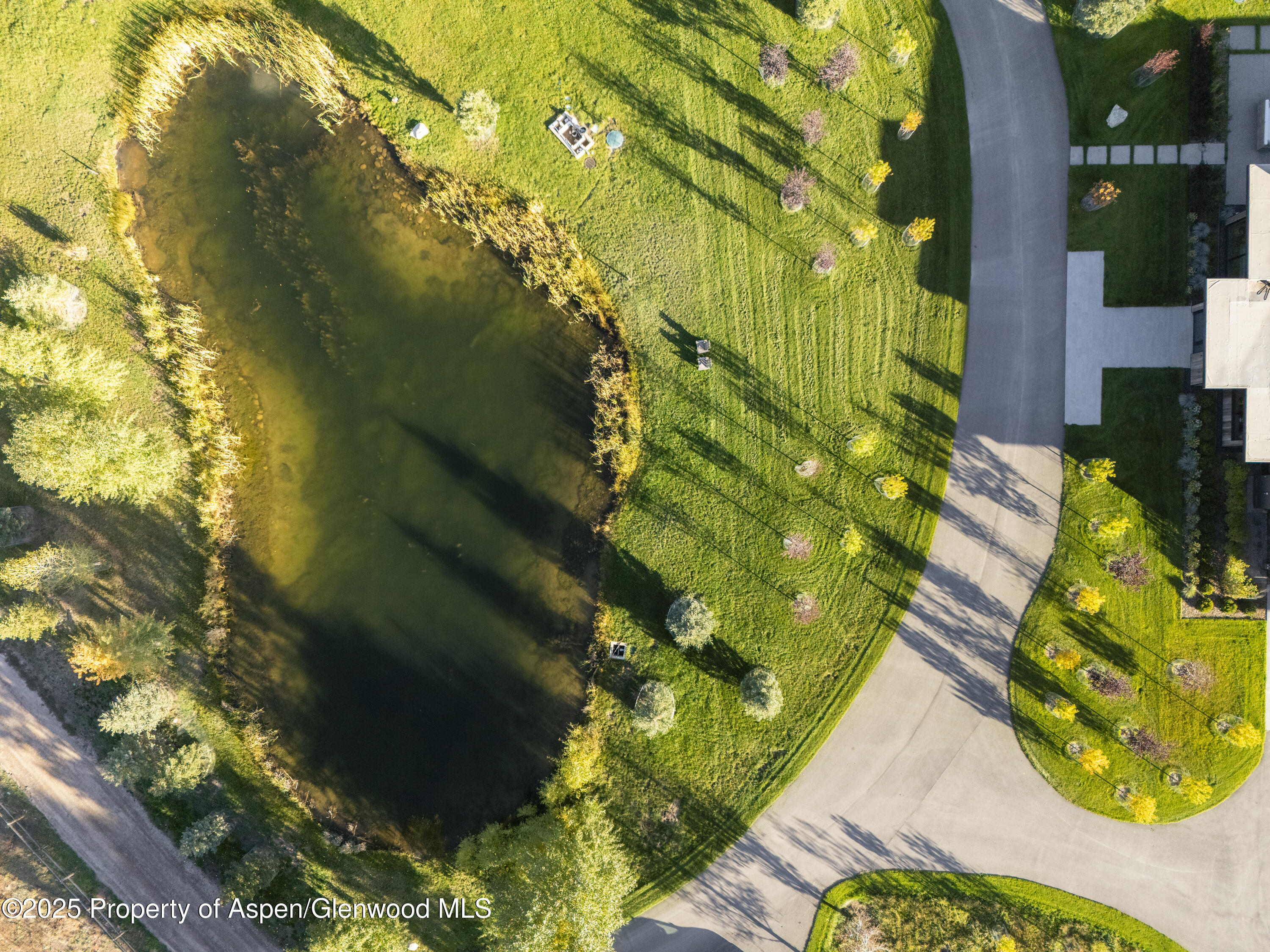 88 Clover Lane Woody Creek CO 81656