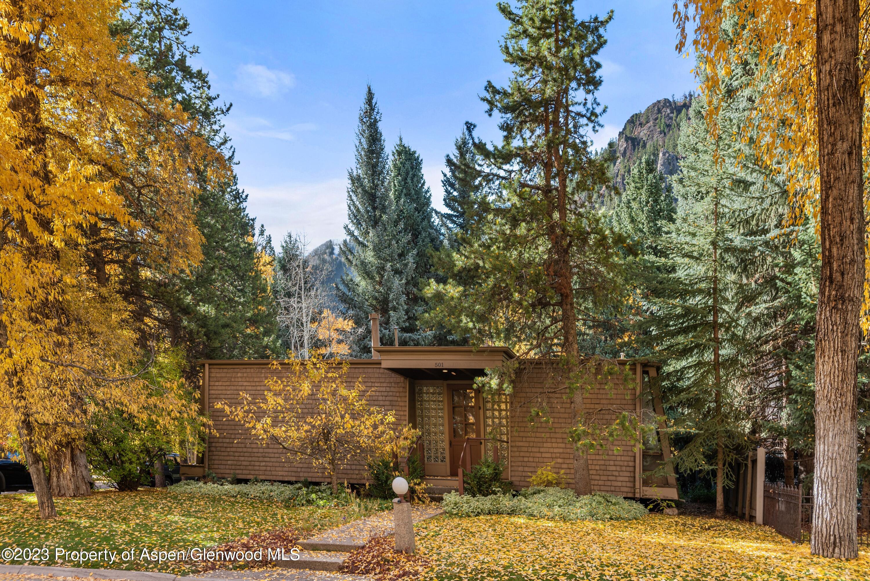 501 W Bleeker Street Aspen CO 81611
