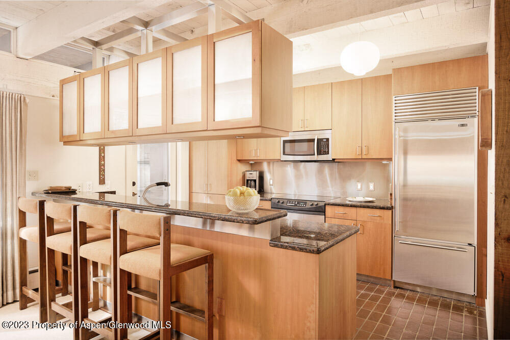 501 W Bleeker Street Aspen CO 81611