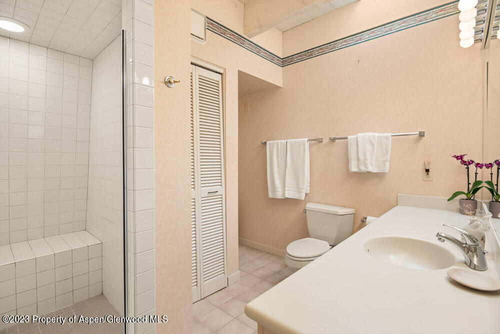 501 W Bleeker Street Aspen CO 81611