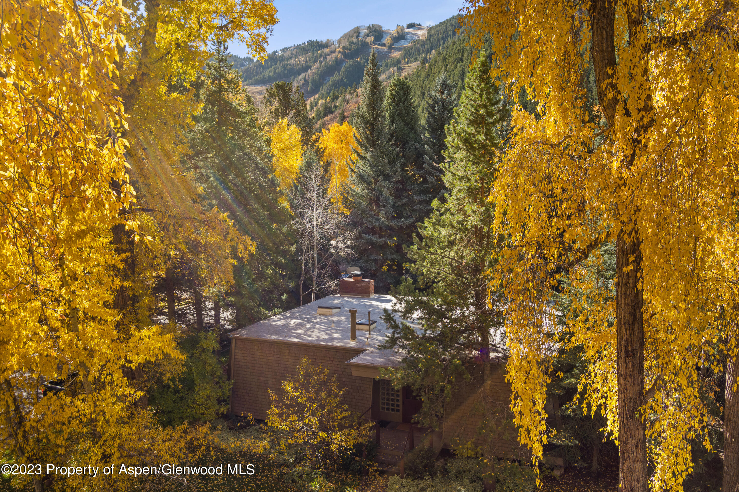 501 W Bleeker Street Aspen CO 81611