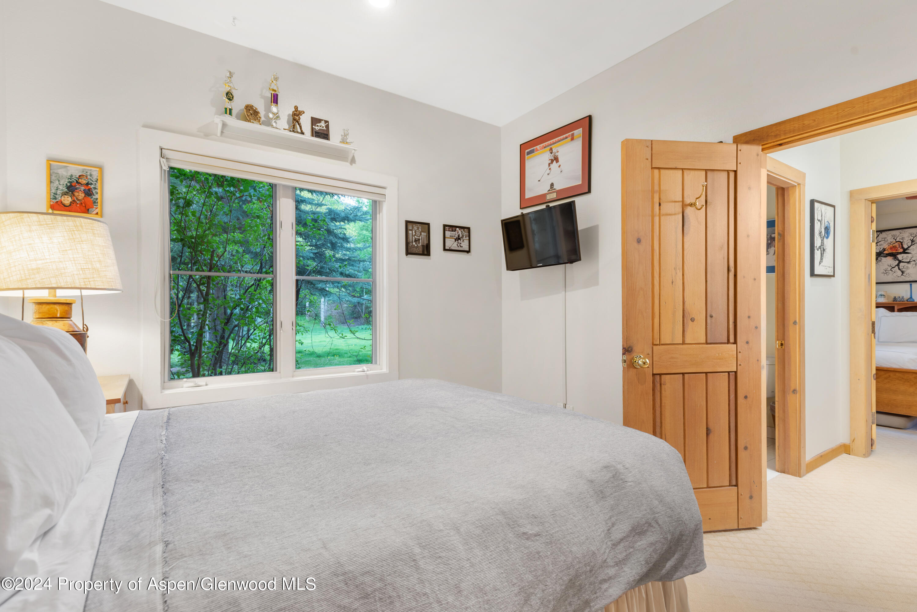 85 Glen Garry Drive Aspen CO 81611