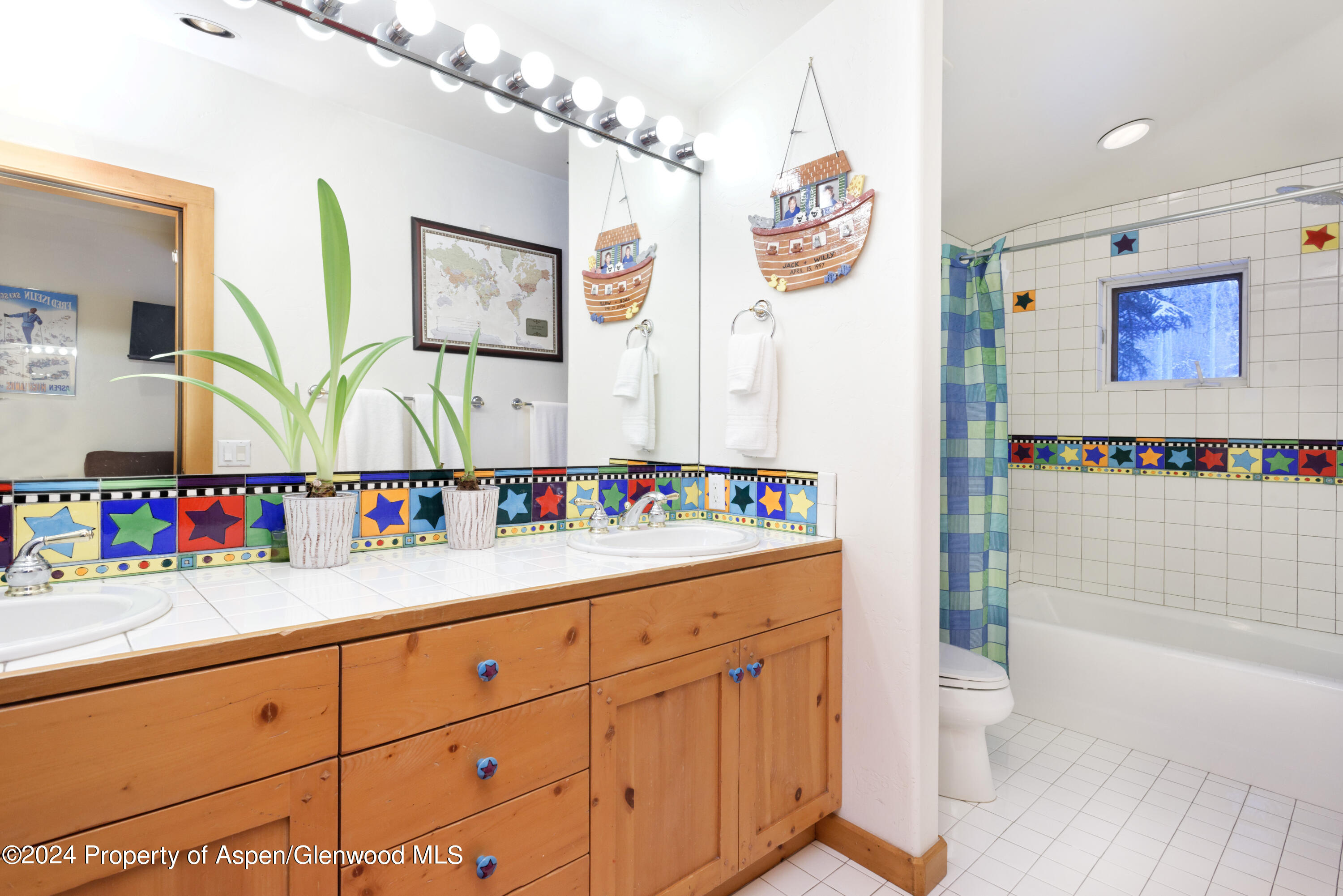 85 Glen Garry Drive Aspen CO 81611