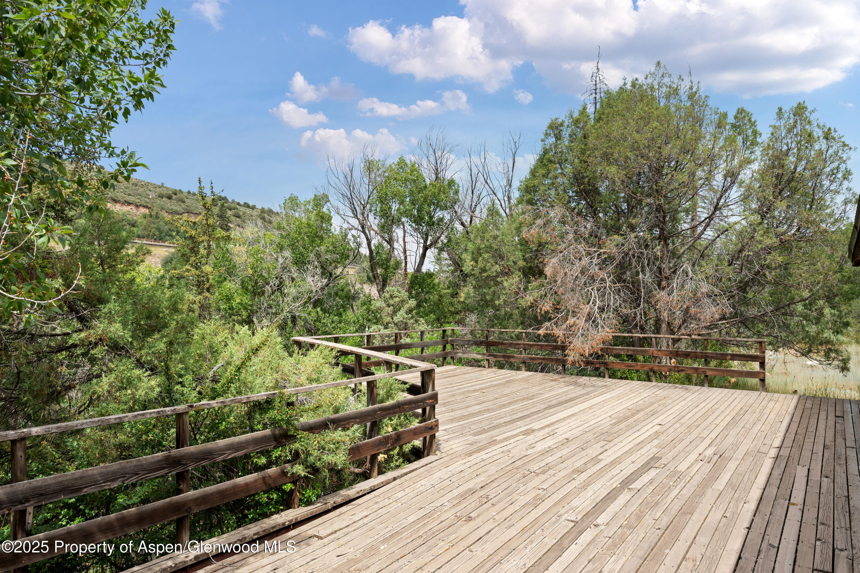 176 Letey Lane Woody Creek CO 81656