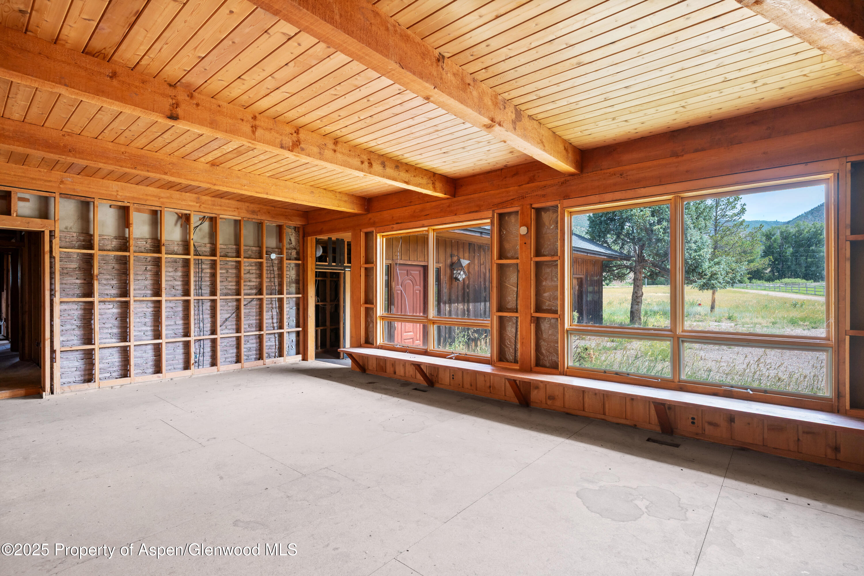 176 Letey Lane Woody Creek CO 81656