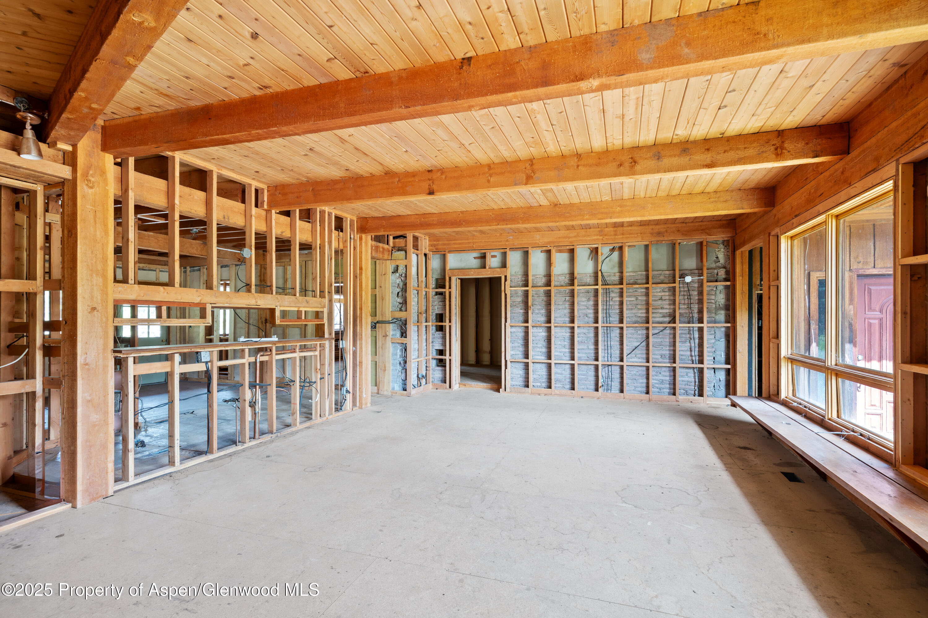 176 Letey Lane Woody Creek CO 81656