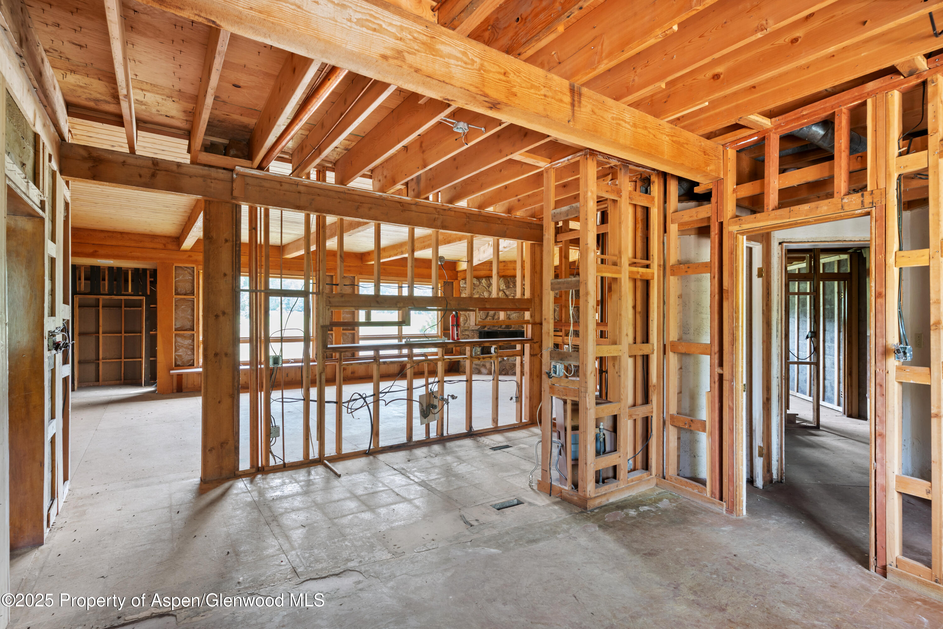 176 Letey Lane Woody Creek CO 81656