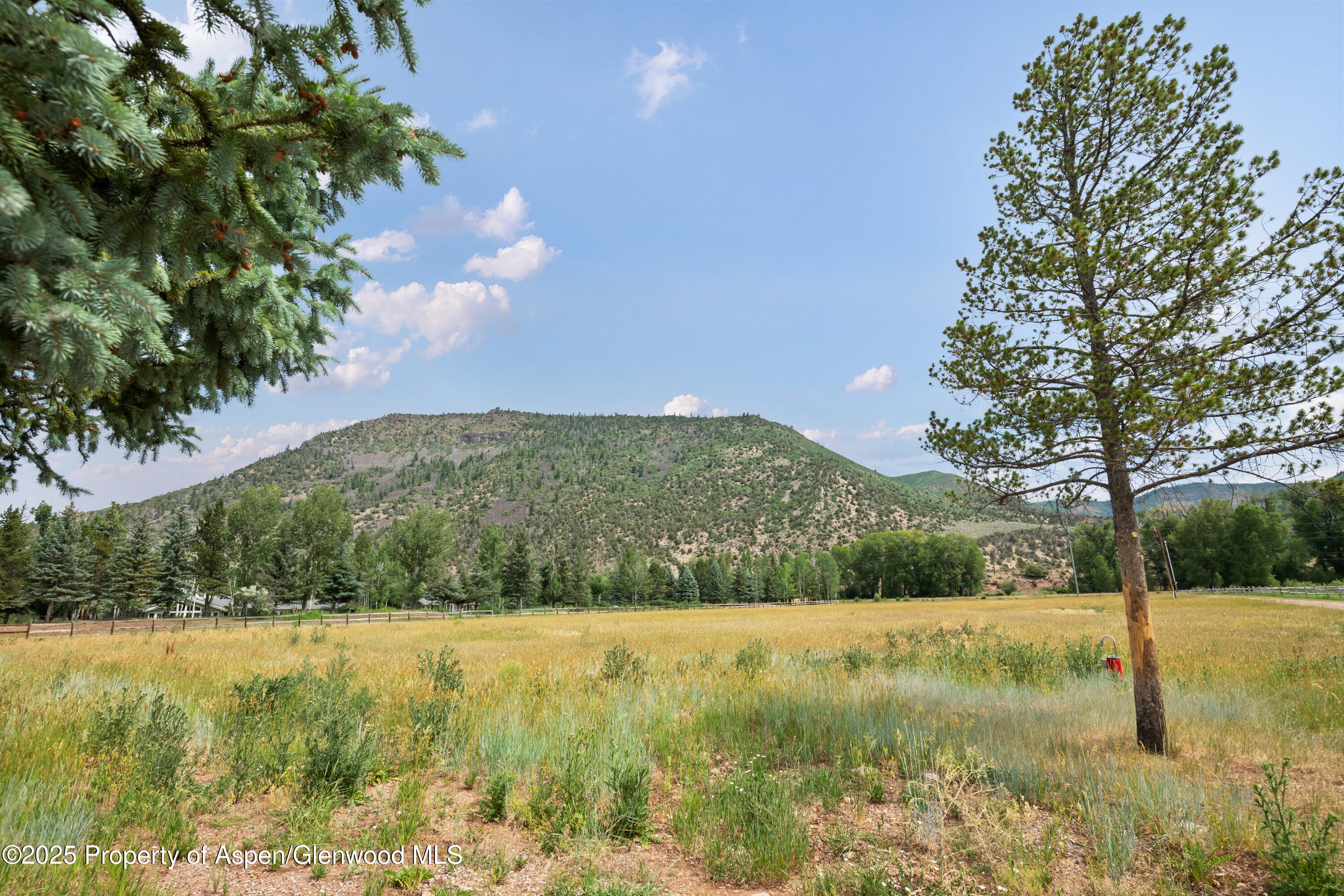 176 Letey Lane Woody Creek CO 81656