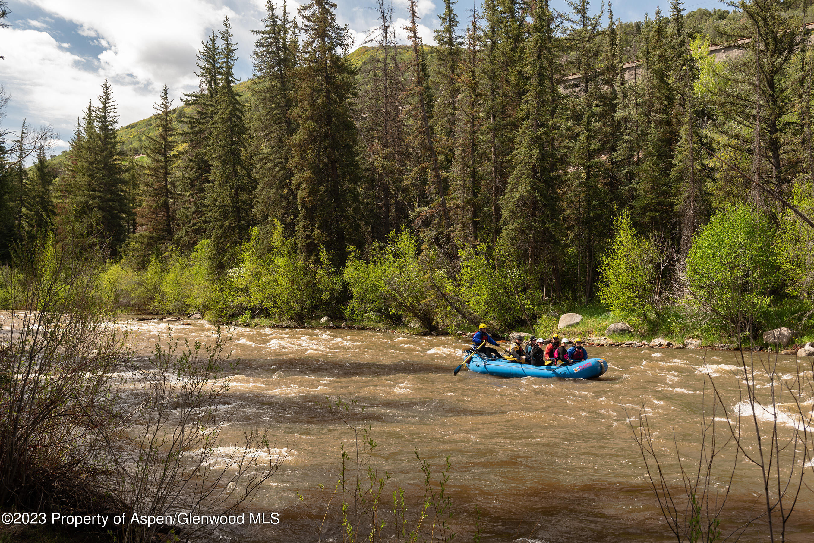 176 Letey Lane Woody Creek CO 81656