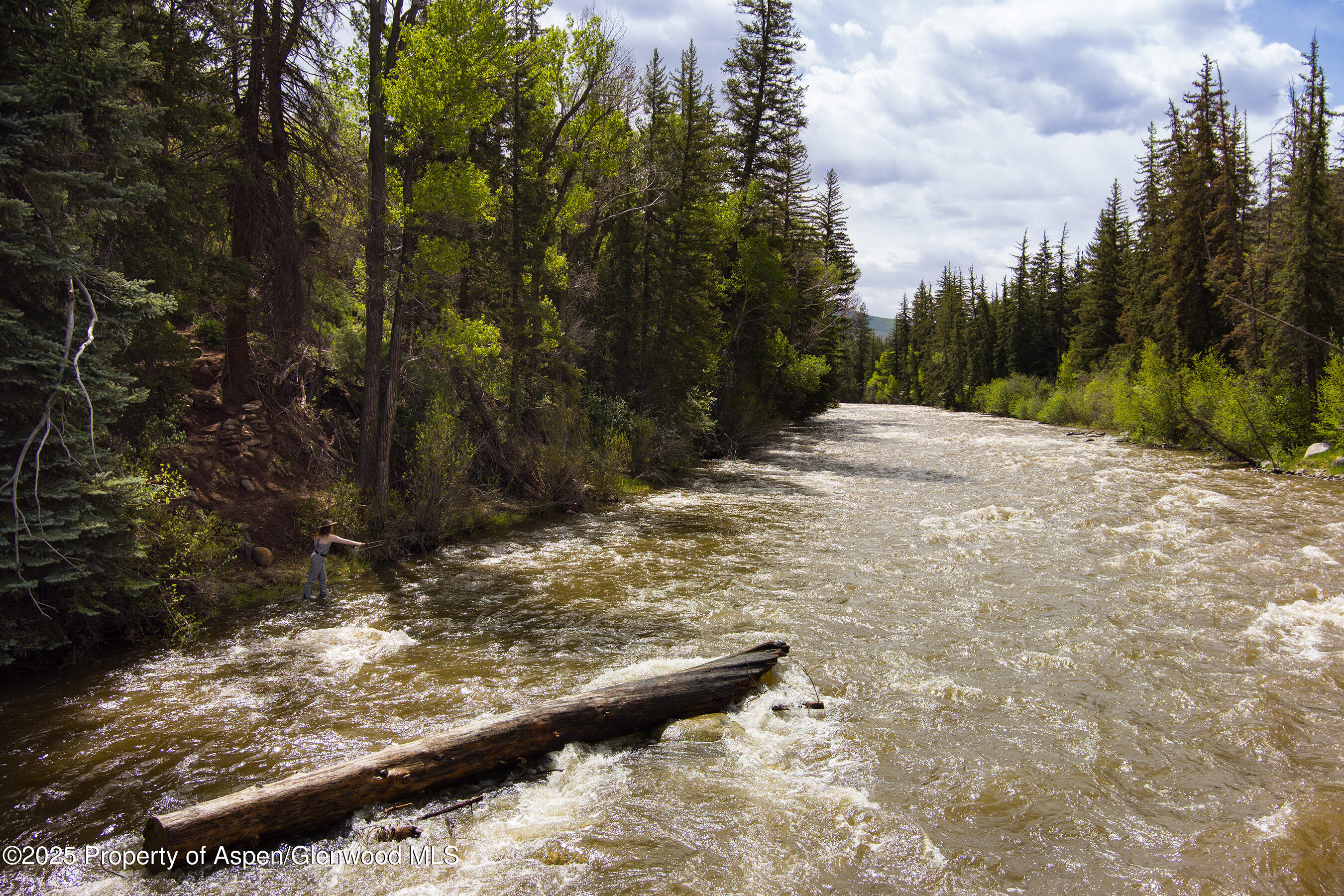 176 Letey Lane Woody Creek CO 81656