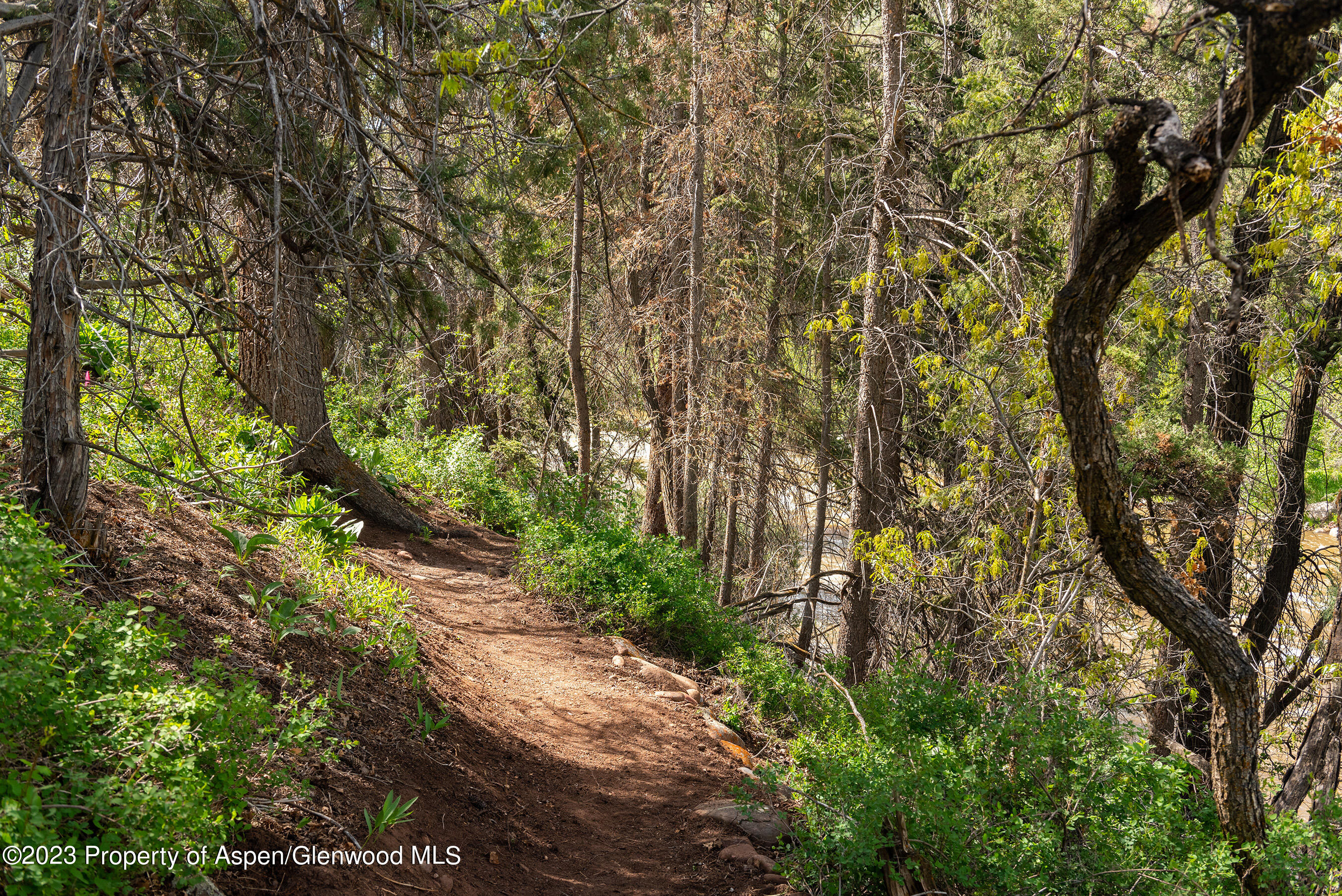 176 Letey Lane Woody Creek CO 81656