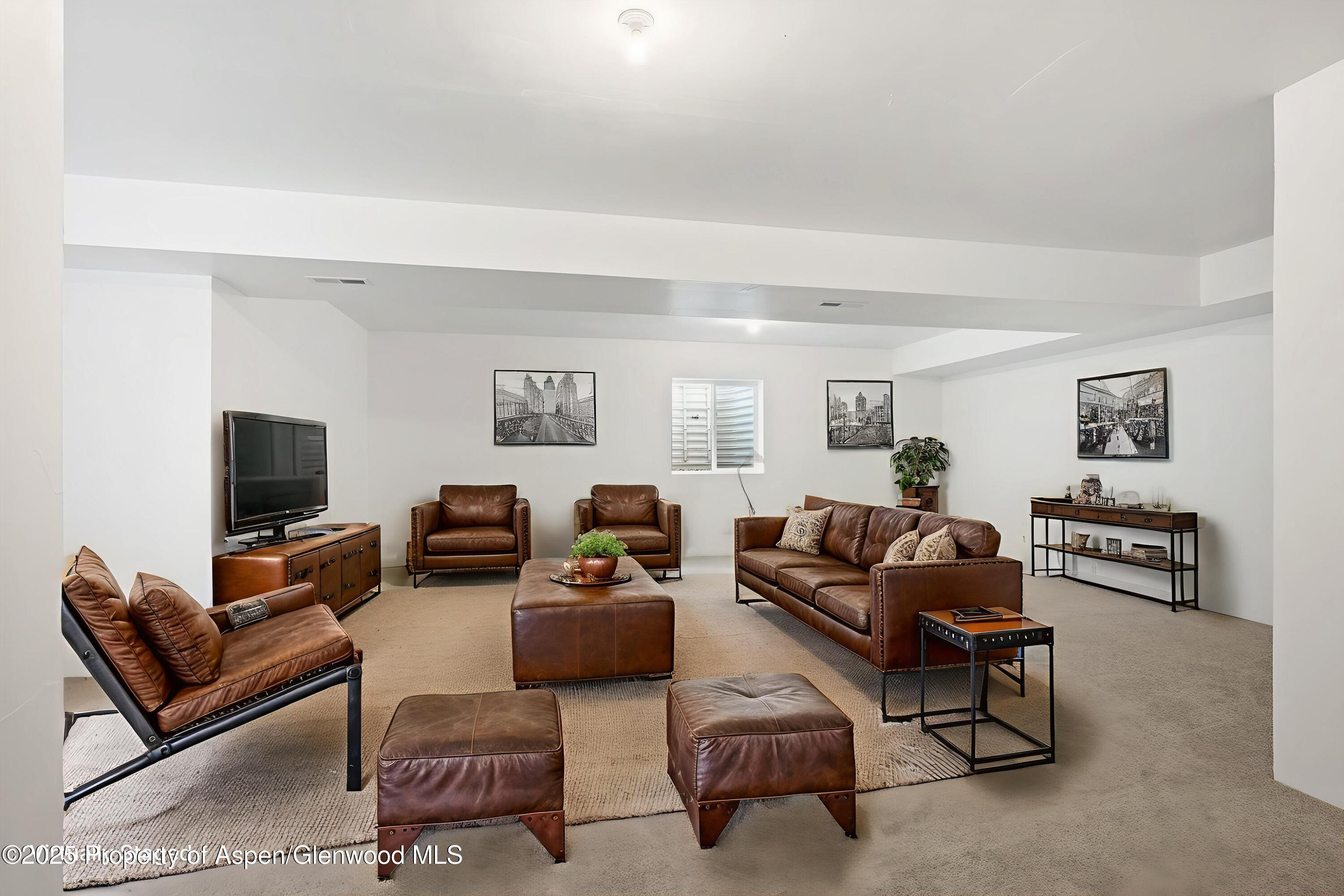 1788 Belgian Loop Silt CO 81652