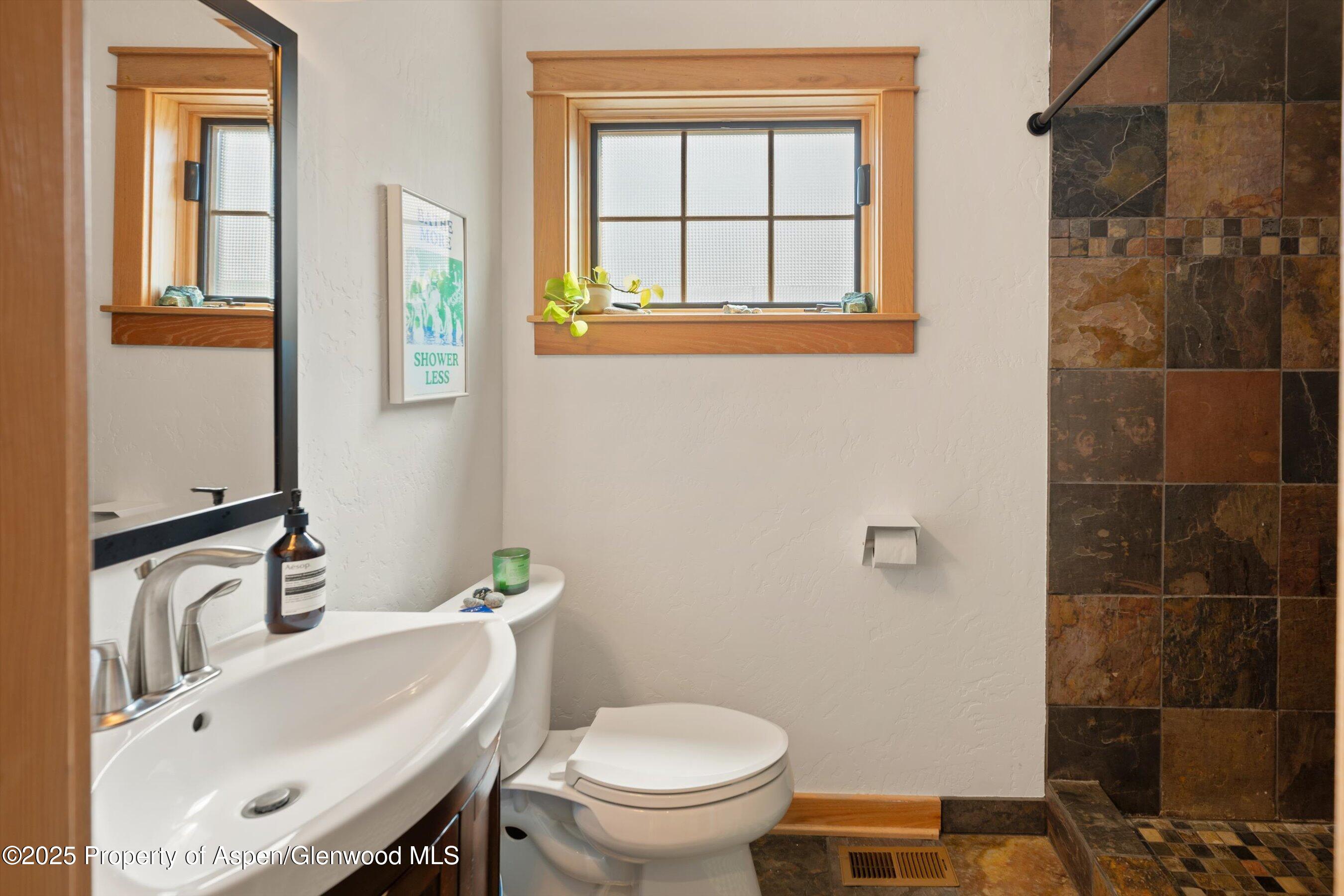 645 Grace Drive Carbondale CO 81623