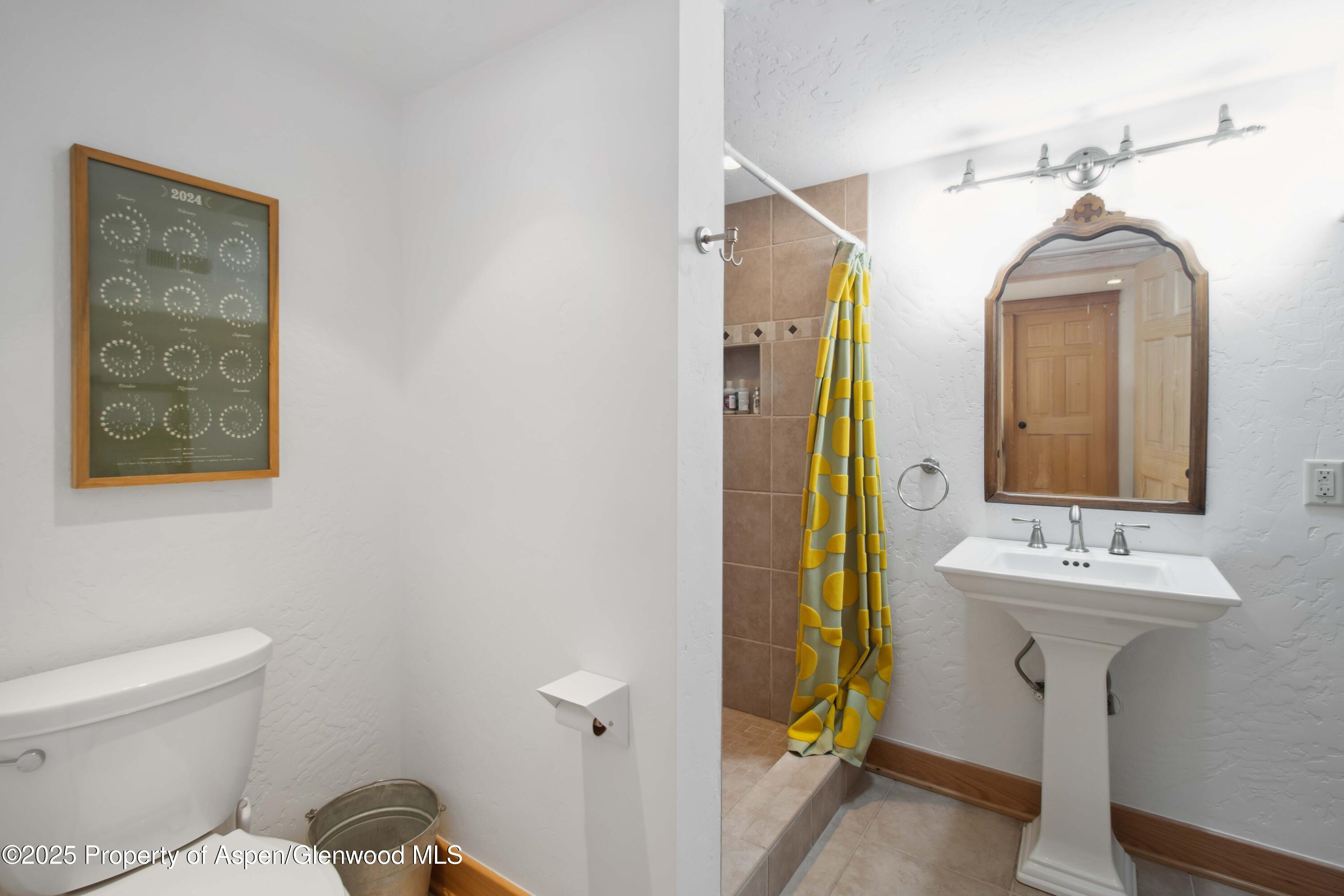 645 Grace Drive Carbondale CO 81623