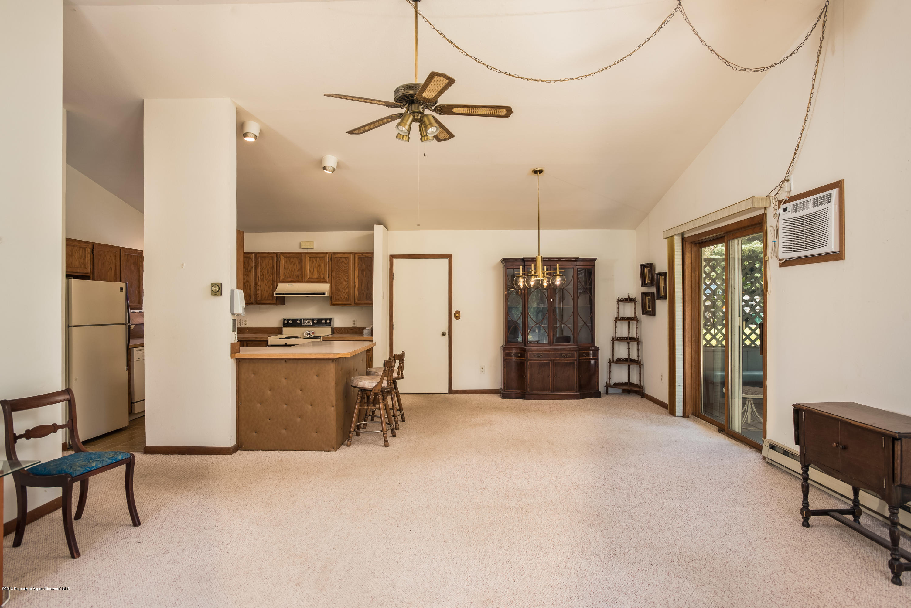 126 Surrey Street Carbondale CO 81623