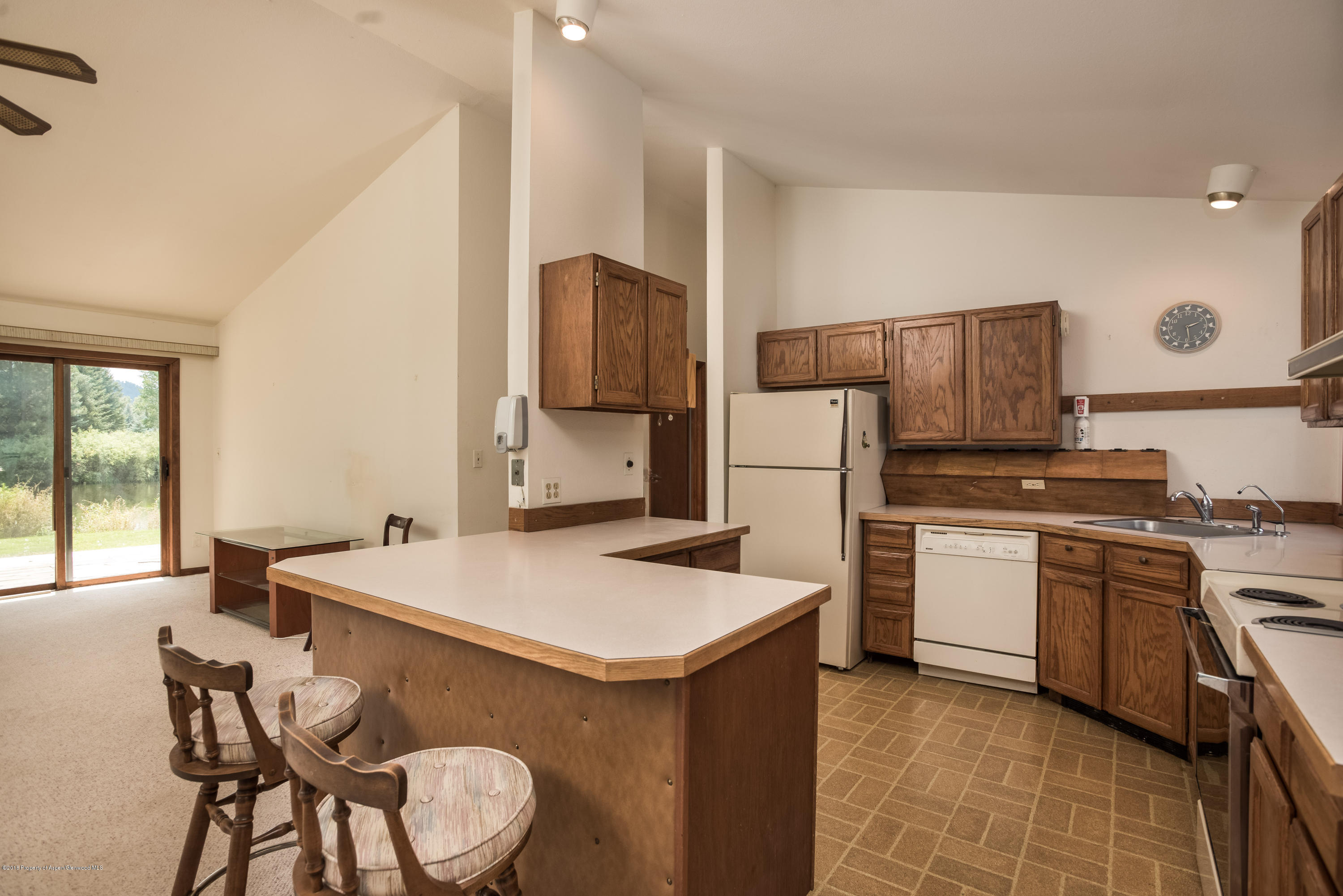 126 Surrey Street Carbondale CO 81623