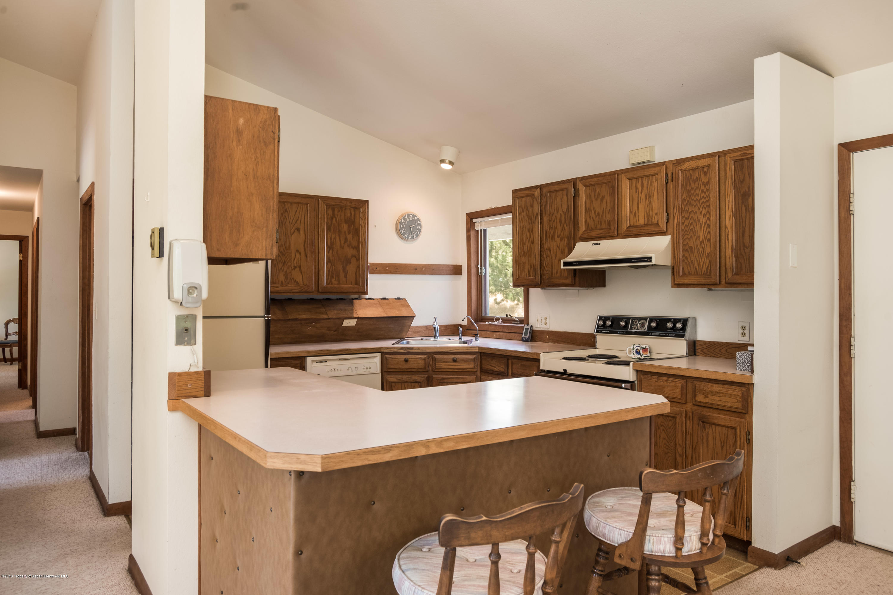 126 Surrey Street Carbondale CO 81623