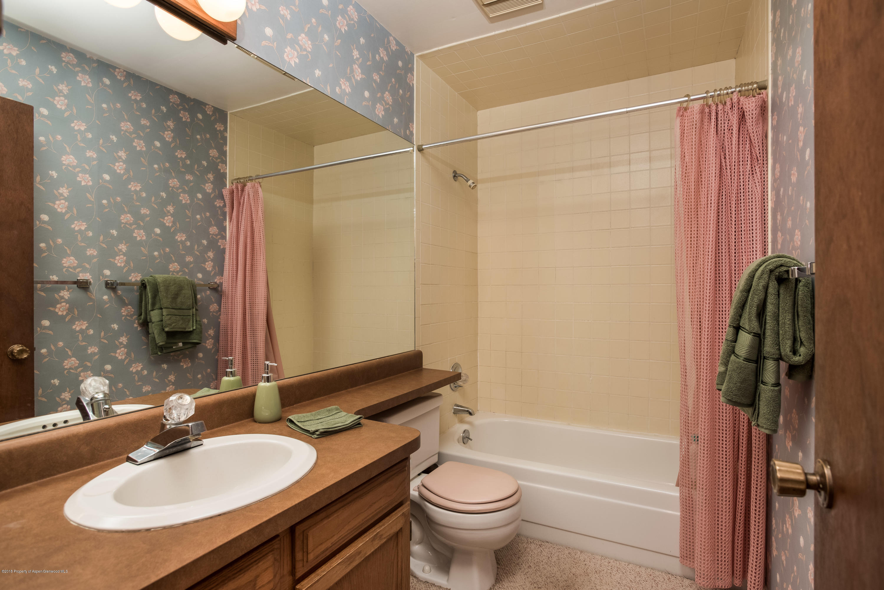 126 Surrey Street Carbondale CO 81623