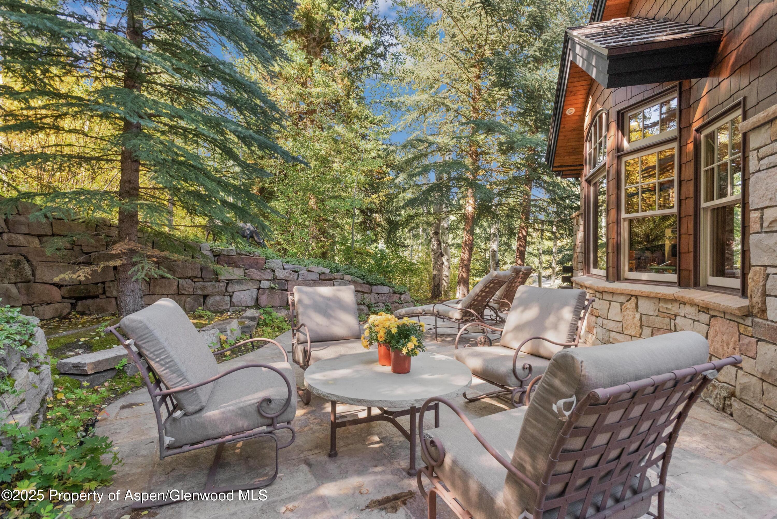 81 Spruce Ridge Lane Snowmass Village CO 81615