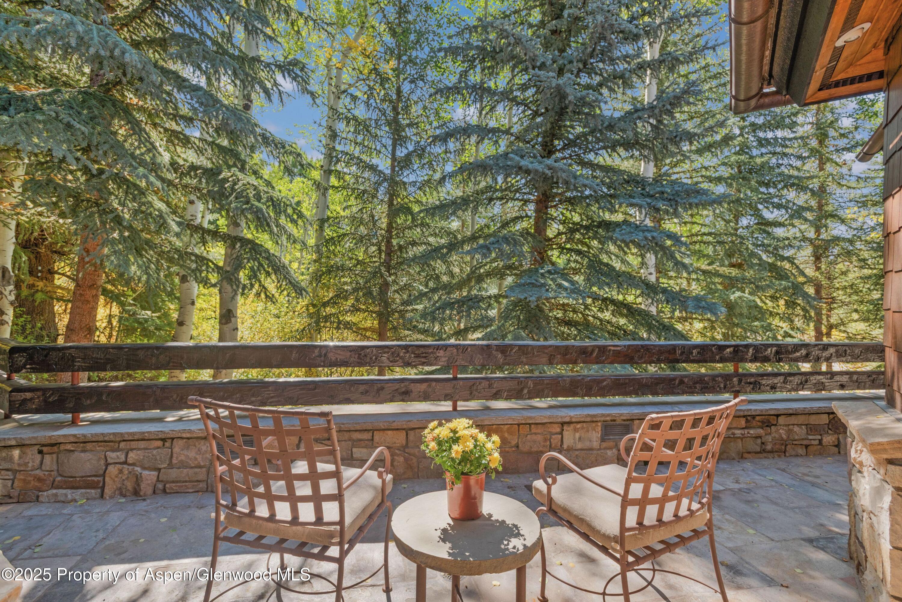 81 Spruce Ridge Lane Snowmass Village CO 81615