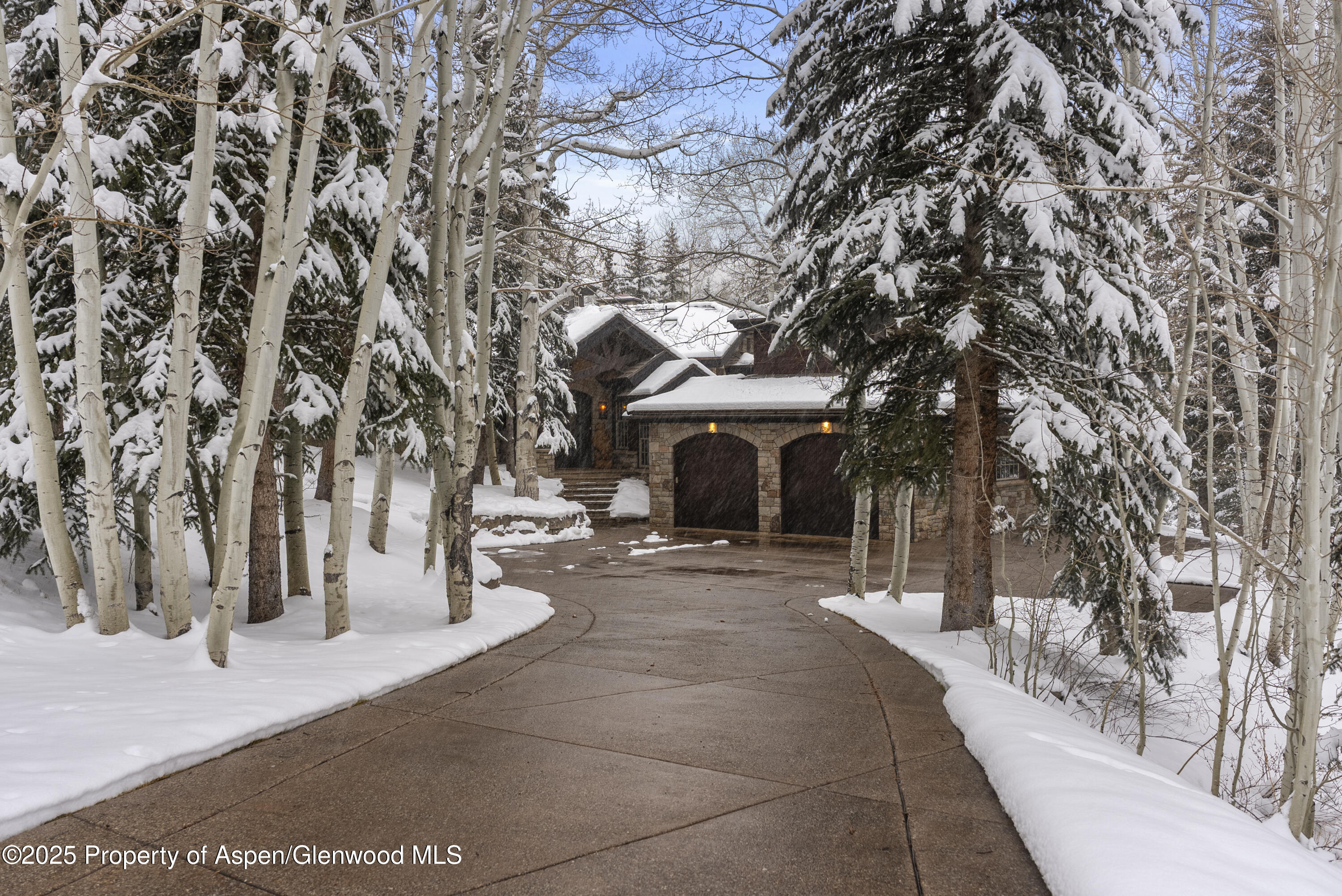 81 Spruce Ridge Lane Snowmass Village CO 81615