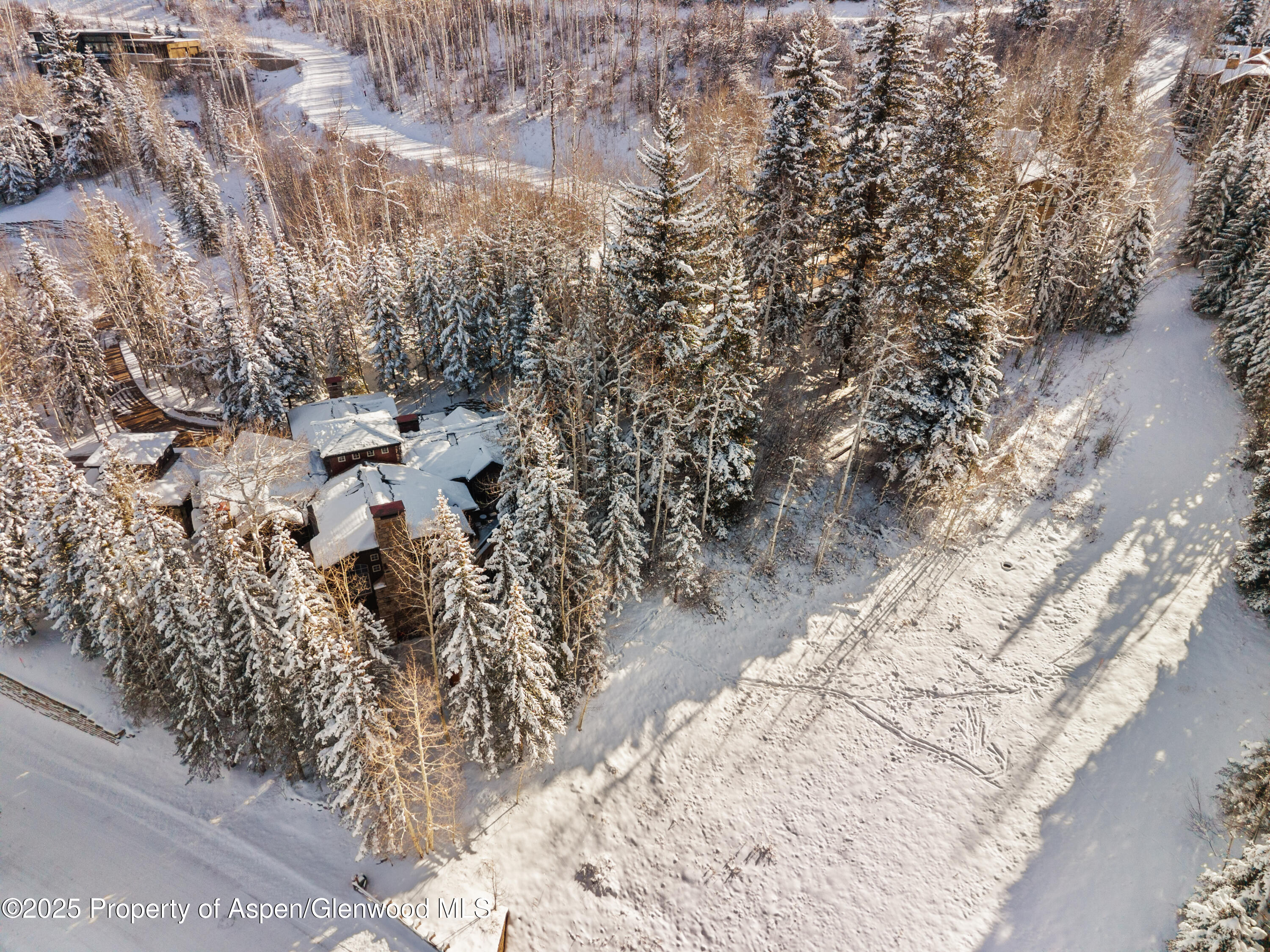 81 Spruce Ridge Lane Snowmass Village CO 81615