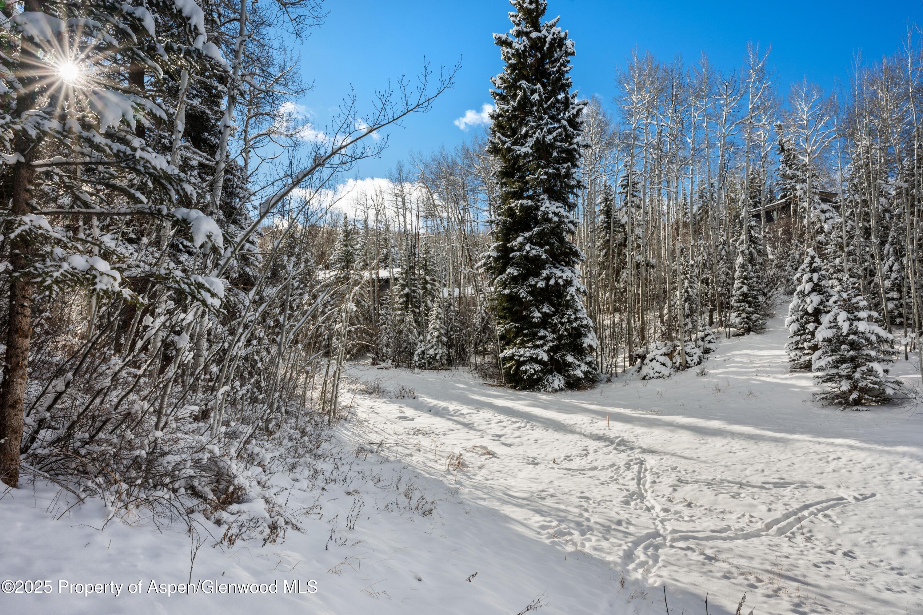 81 Spruce Ridge Lane Snowmass Village CO 81615