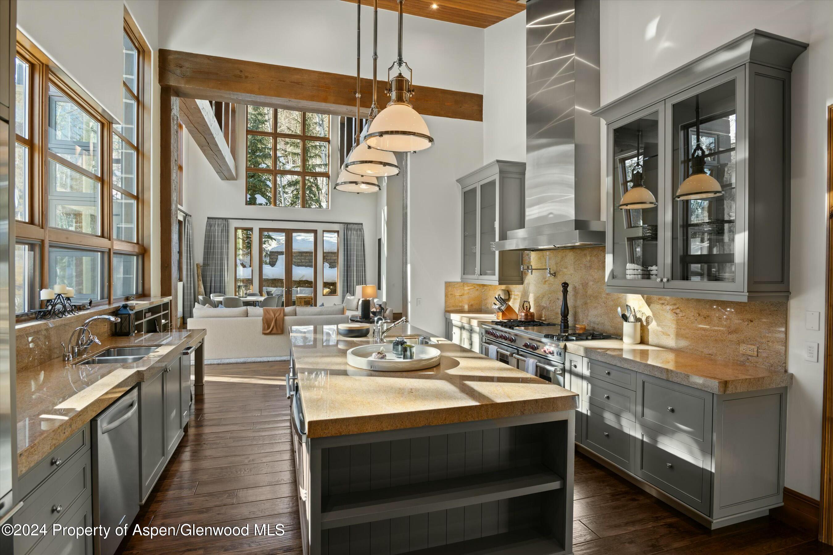 386 Pfister Drive Aspen CO 81611