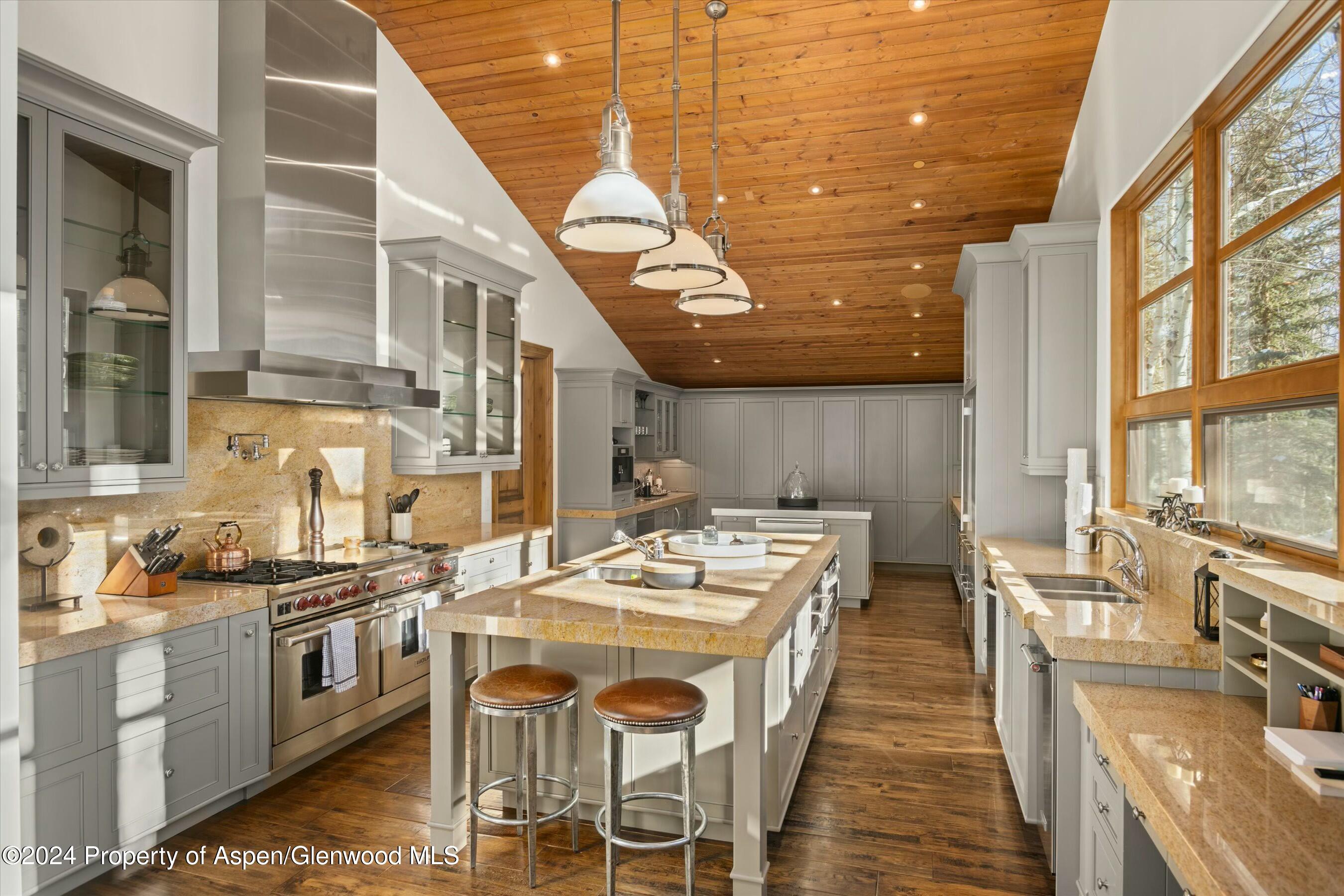 386 Pfister Drive Aspen CO 81611