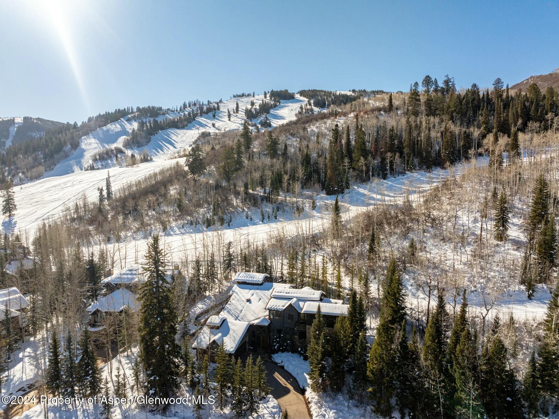 386 Pfister Drive Aspen CO 81611