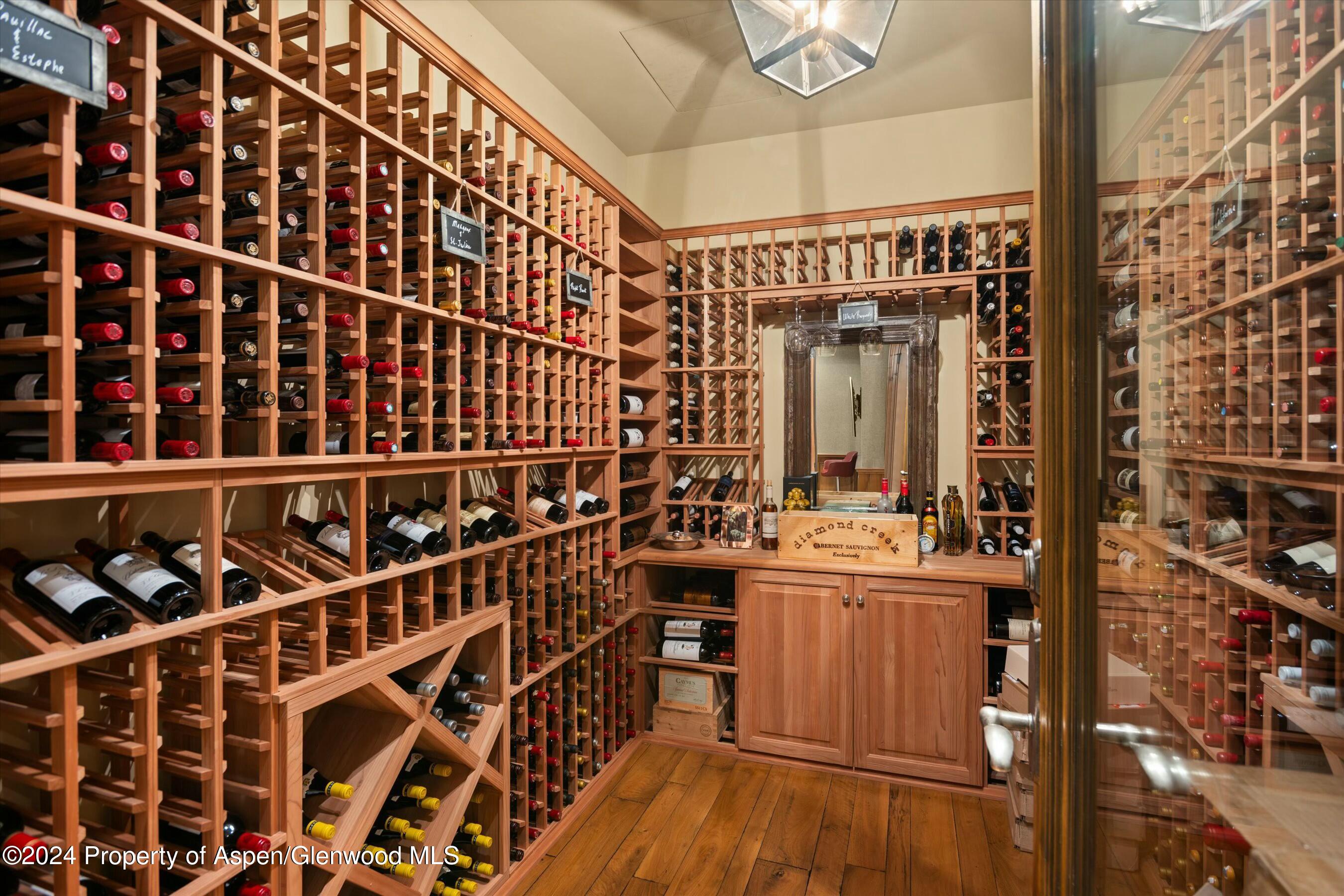 386 Pfister Drive Aspen CO 81611