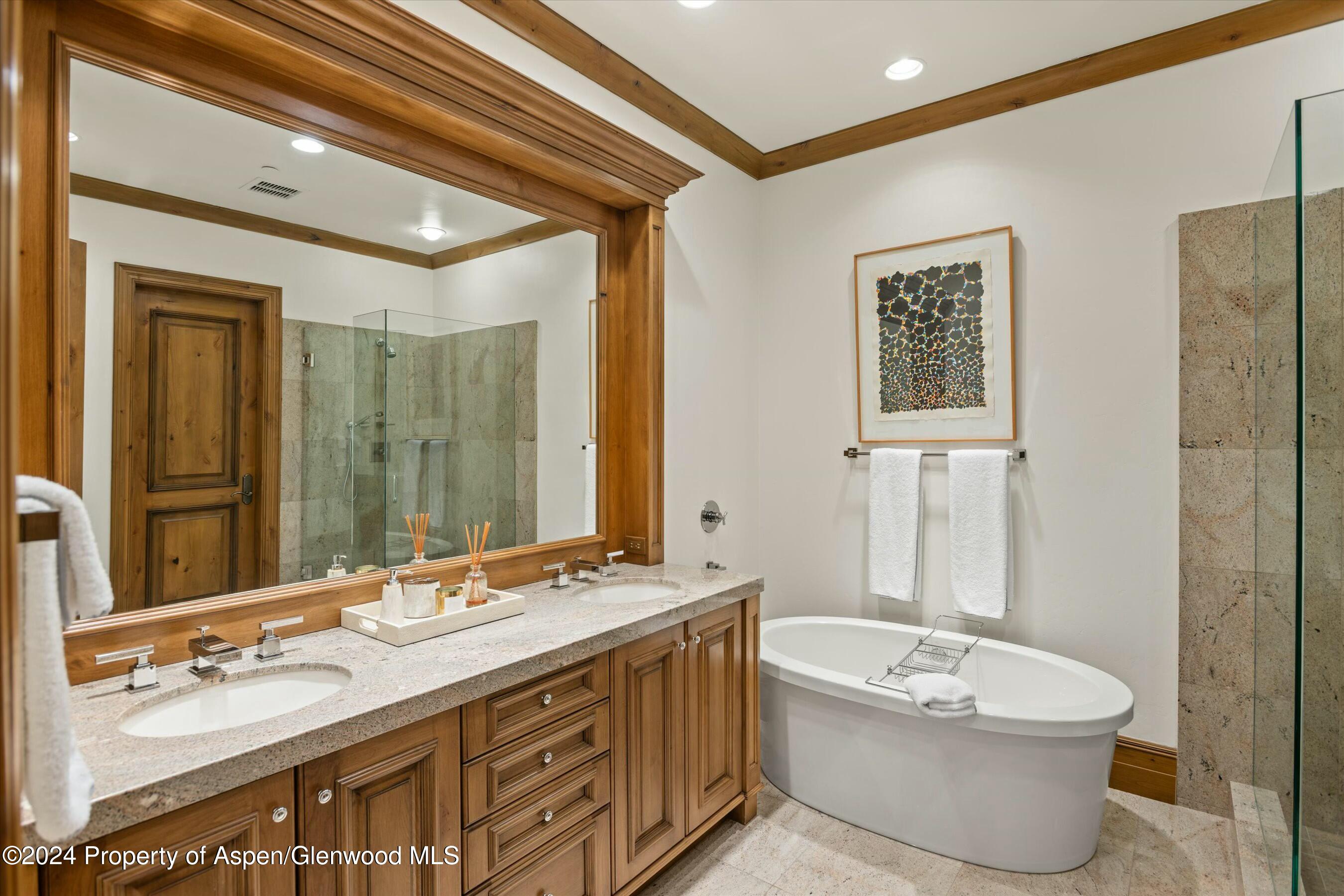 386 Pfister Drive Aspen CO 81611