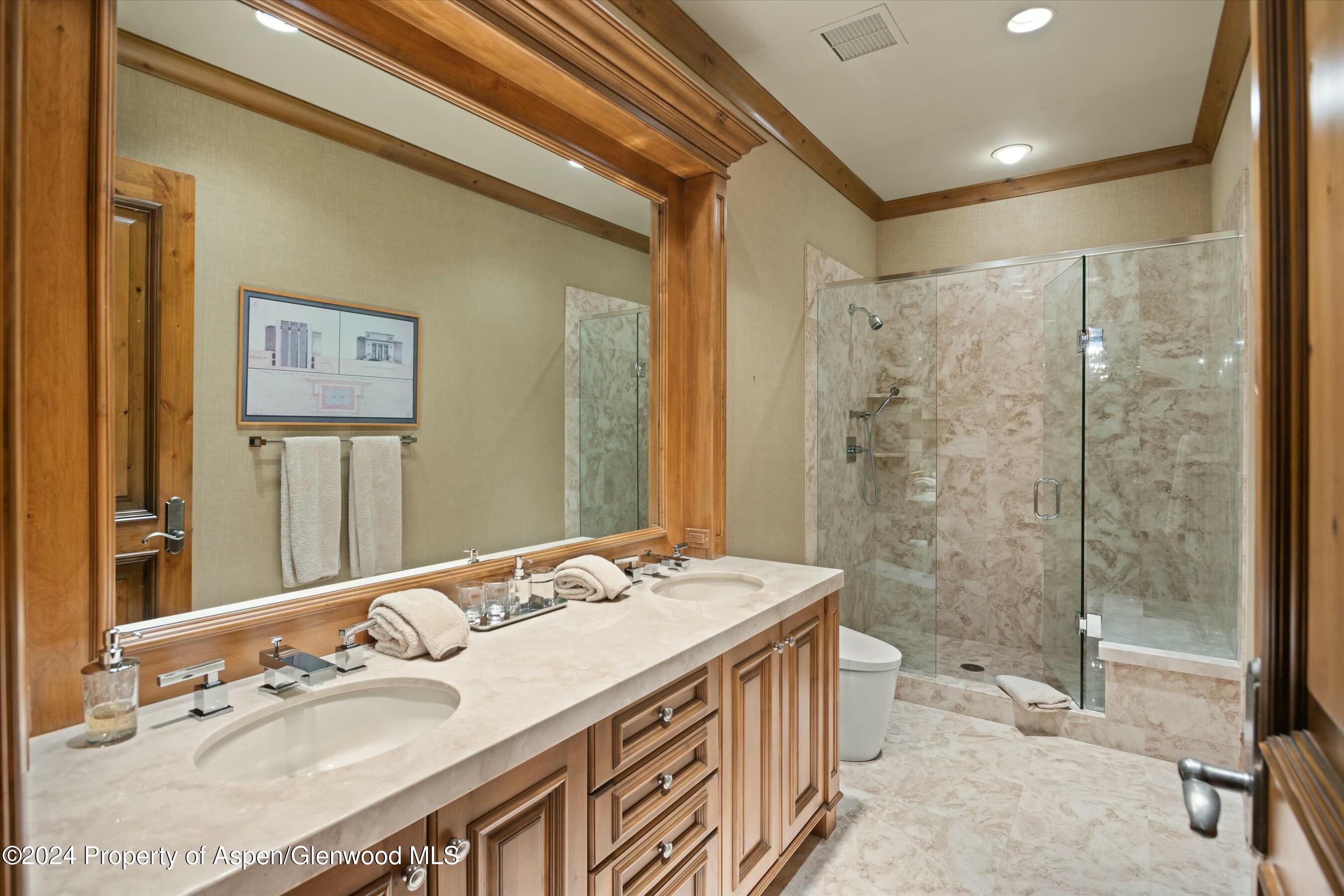 386 Pfister Drive Aspen CO 81611