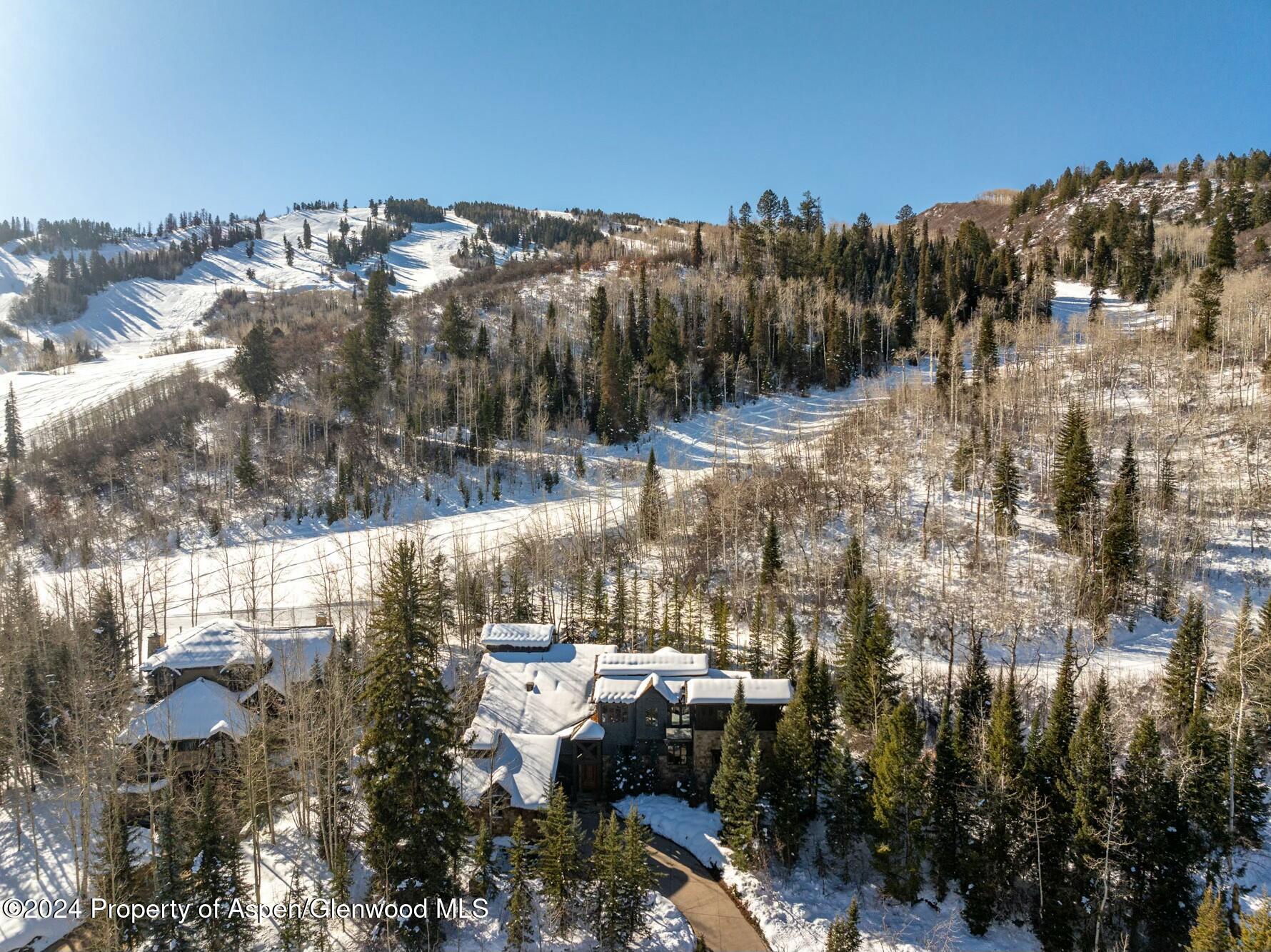 386 Pfister Drive Aspen CO 81611