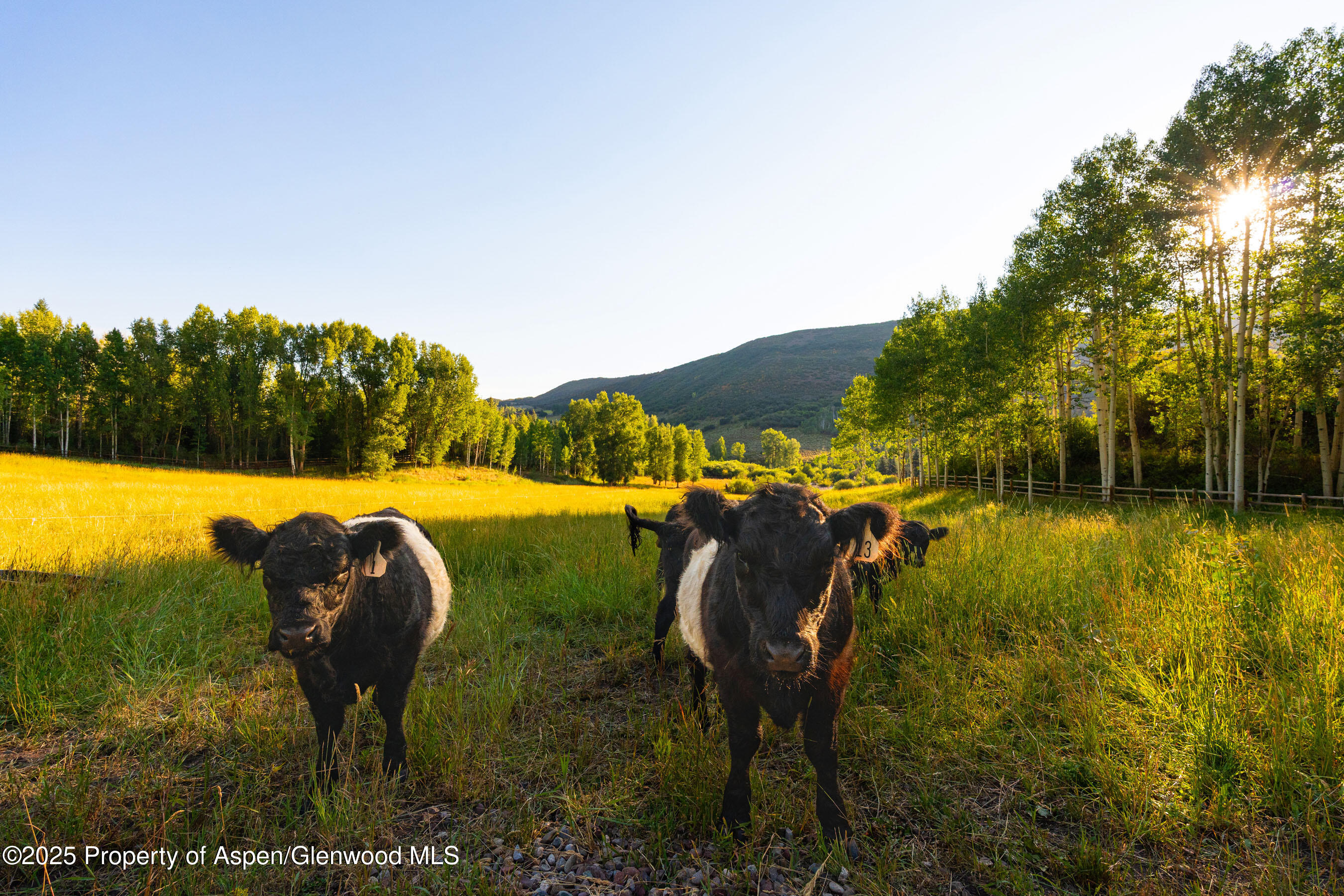 8500 & Tbd Snowmass Creek Road Snowmass CO 81654