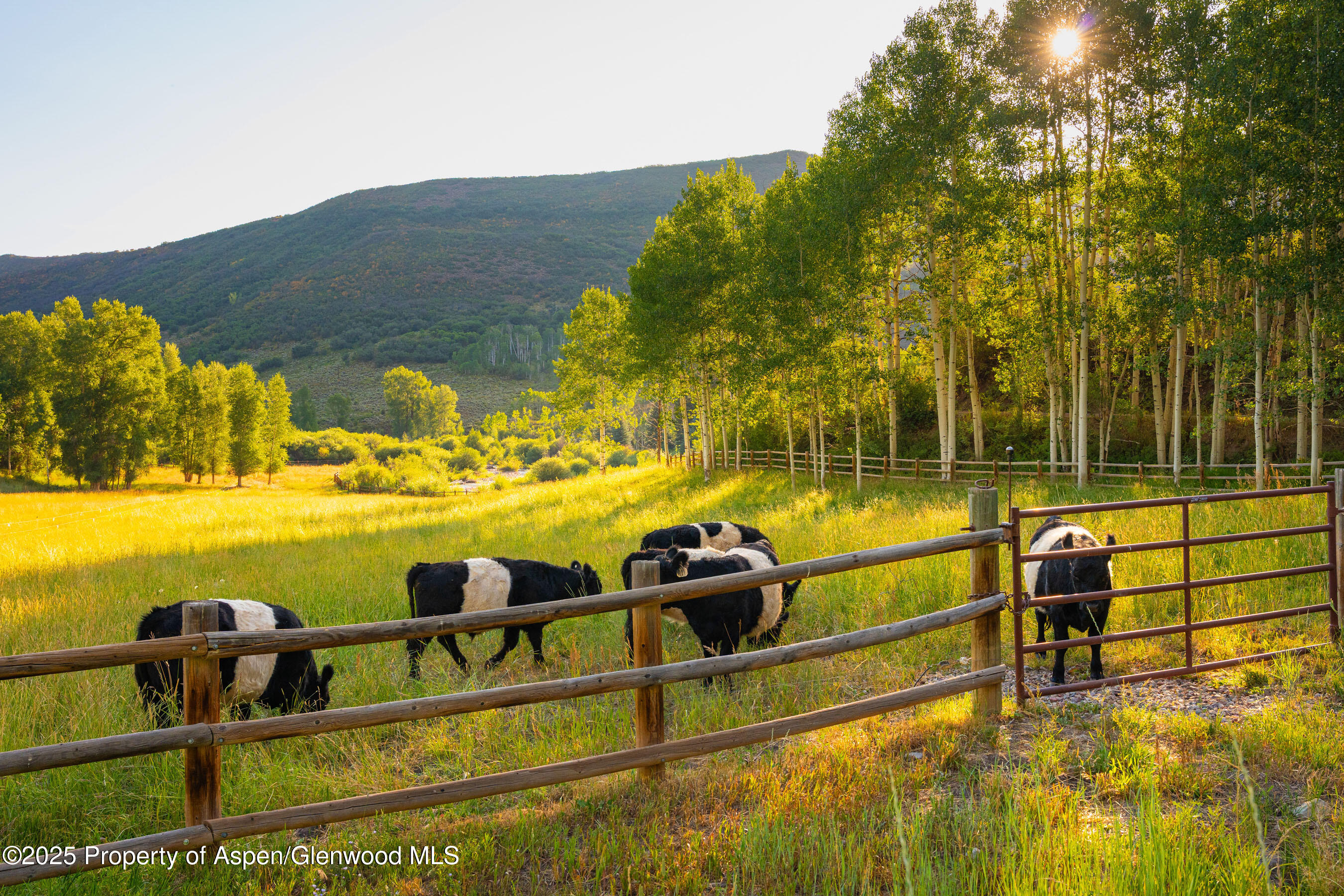 8500 & Tbd Snowmass Creek Road Snowmass CO 81654