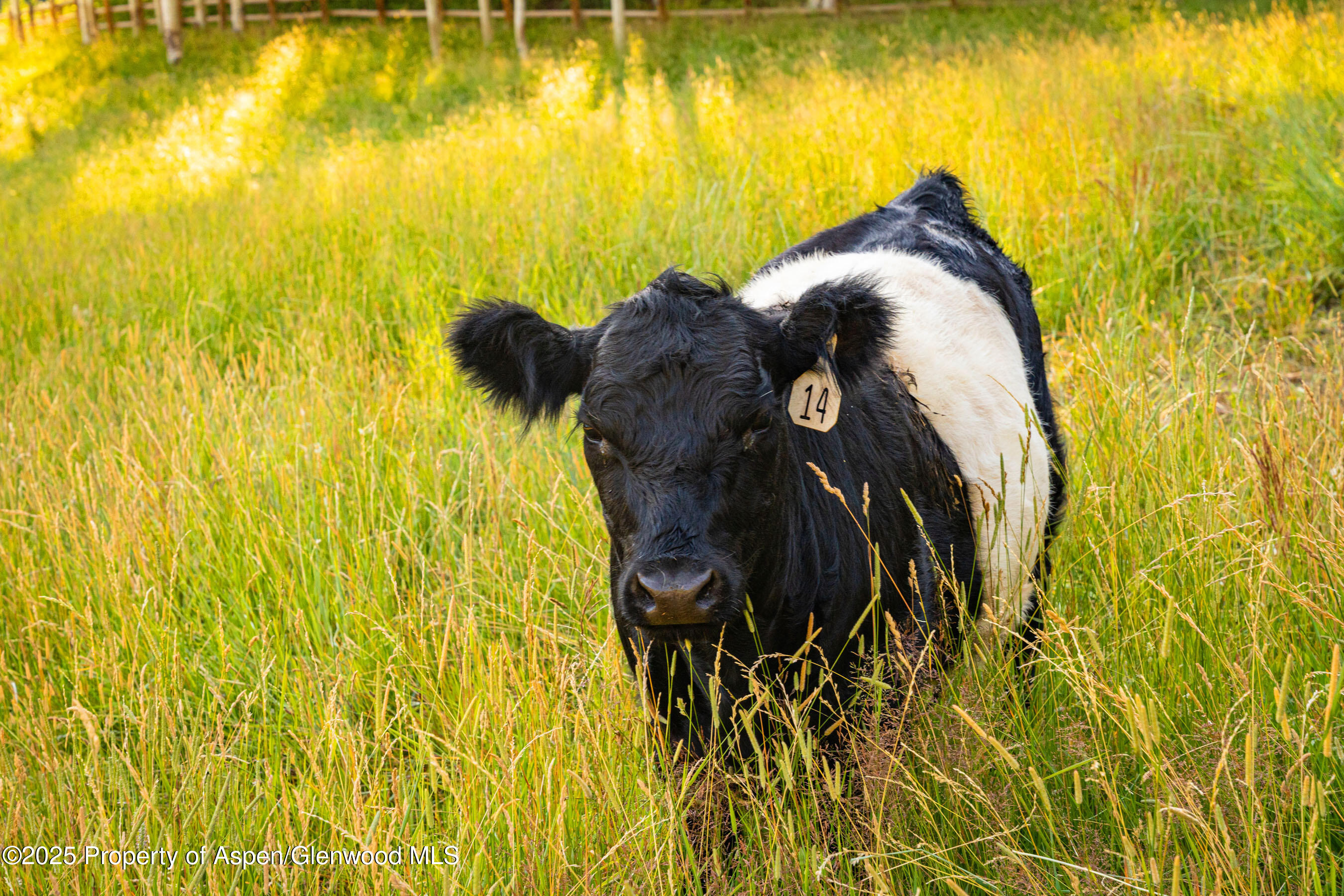 8500 & Tbd Snowmass Creek Road Snowmass CO 81654