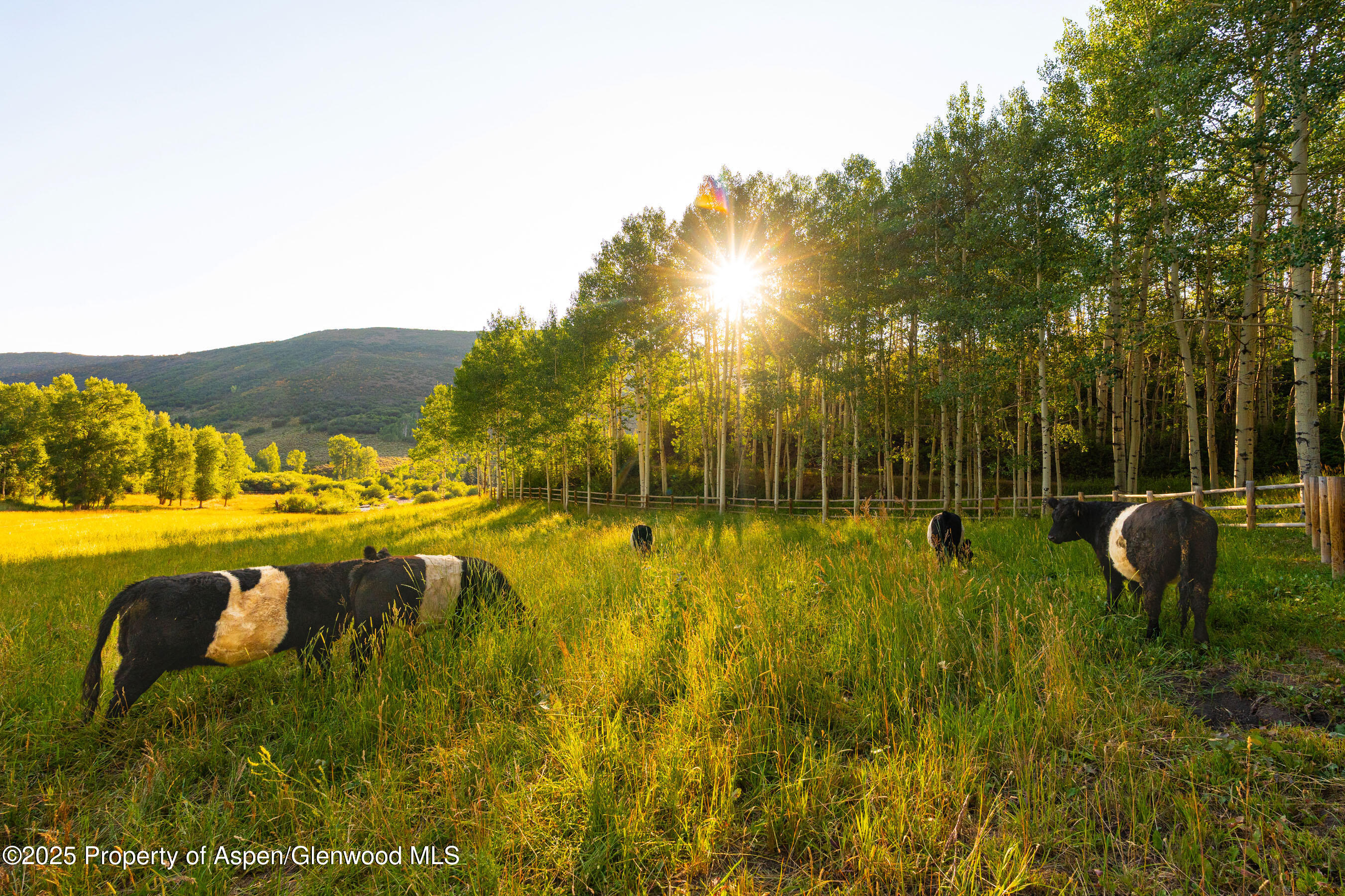 8500 & Tbd Snowmass Creek Road Snowmass CO 81654