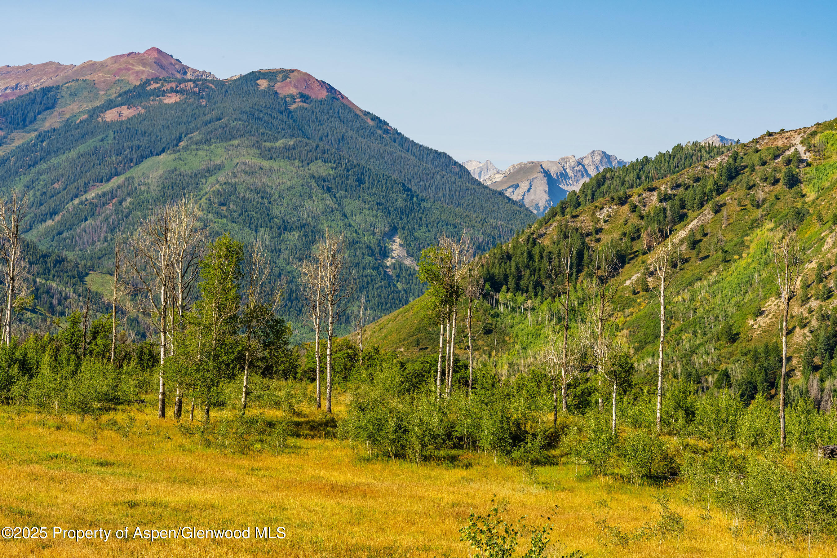 8500 & Tbd Snowmass Creek Road Snowmass CO 81654