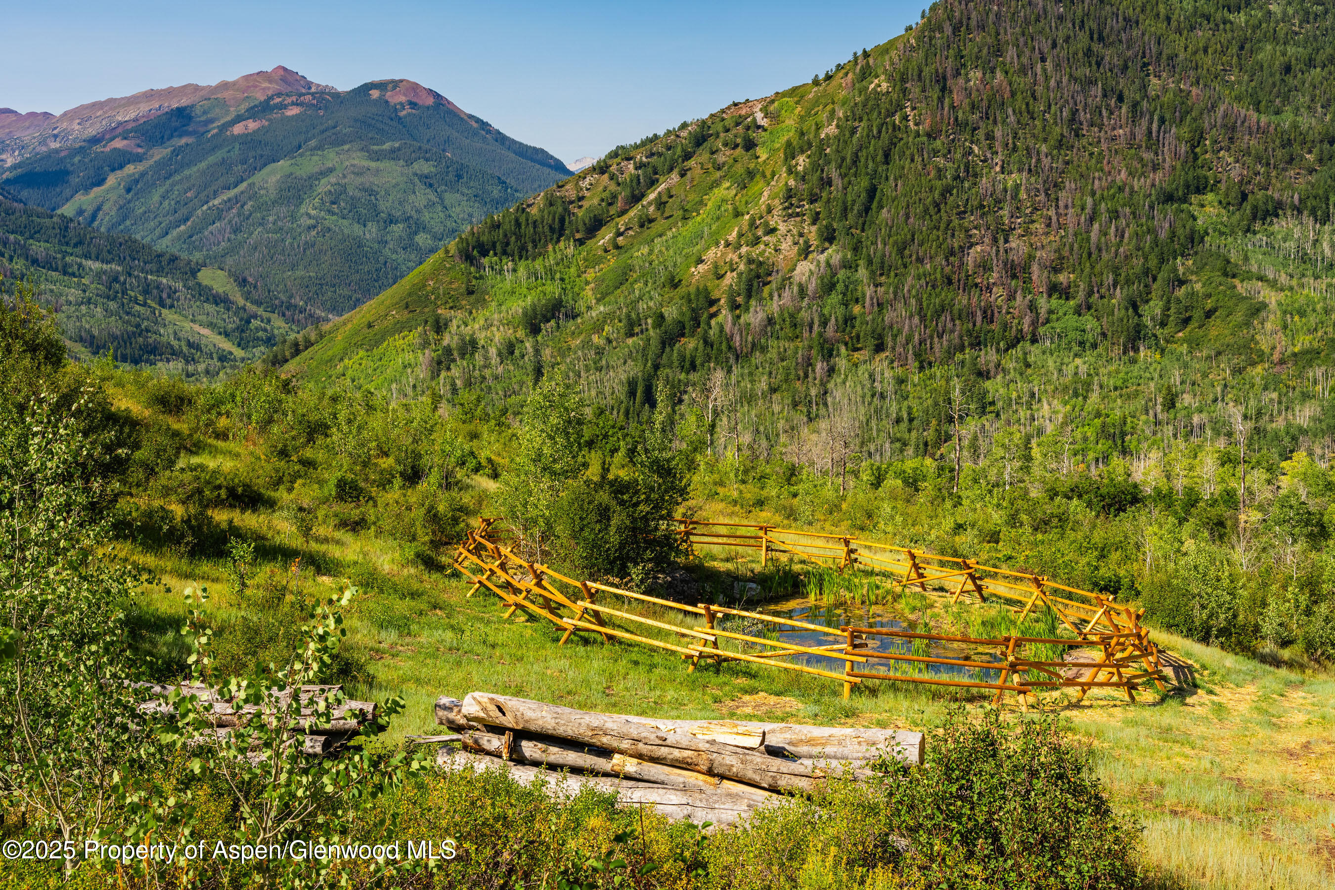8500 & Tbd Snowmass Creek Road Snowmass CO 81654