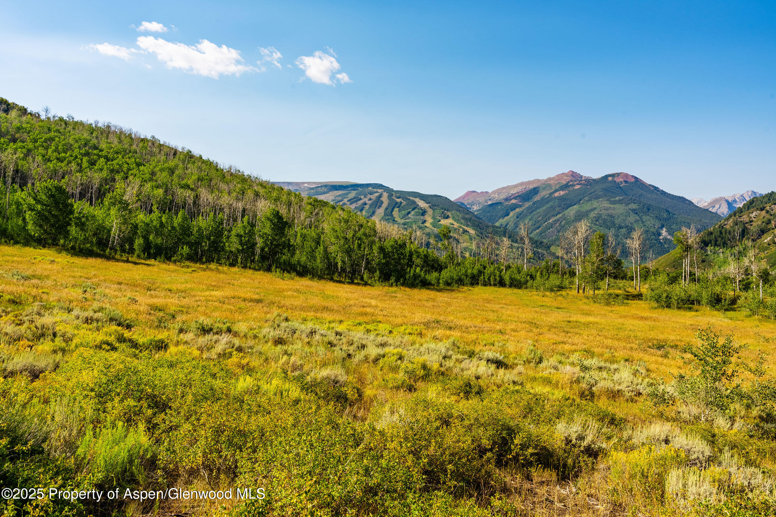 8500 & Tbd Snowmass Creek Road Snowmass CO 81654