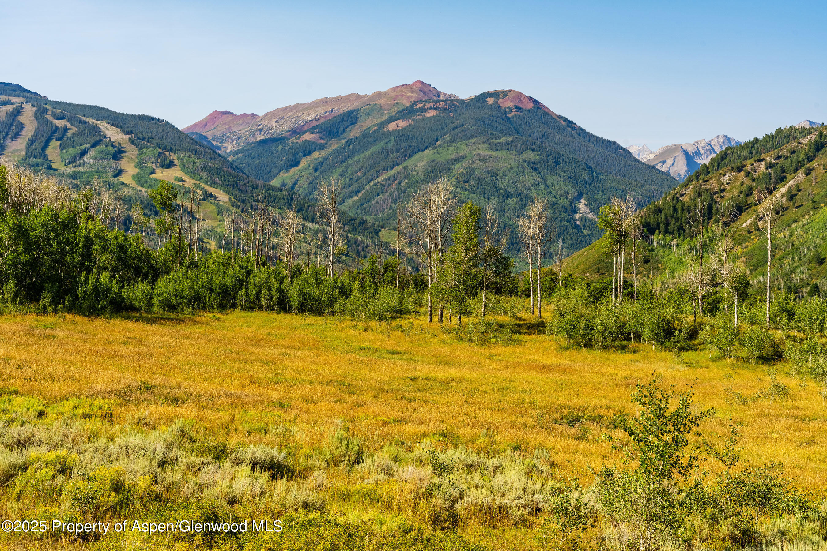 8500 & Tbd Snowmass Creek Road Snowmass CO 81654
