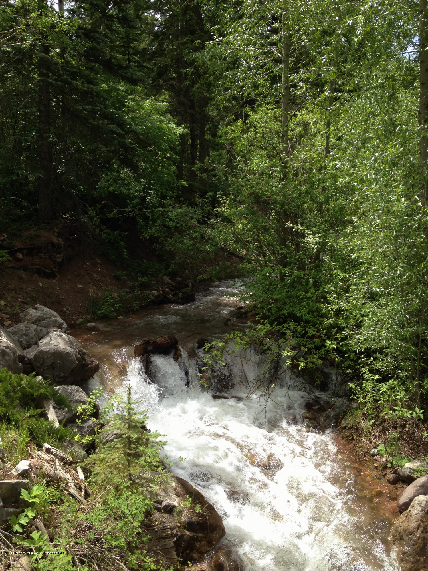 300 Beaver Lane Redstone CO 81623