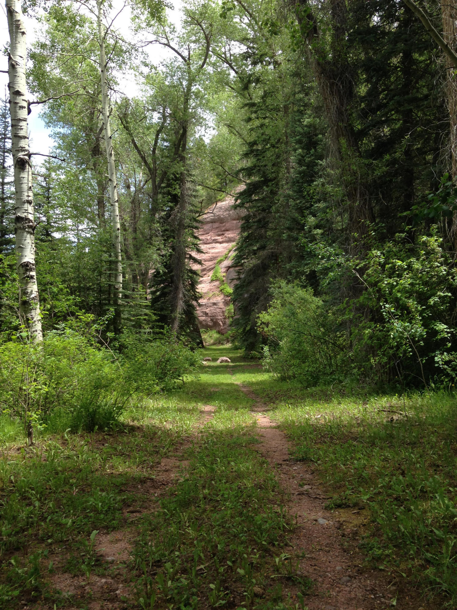300 Beaver Lane Redstone CO 81623