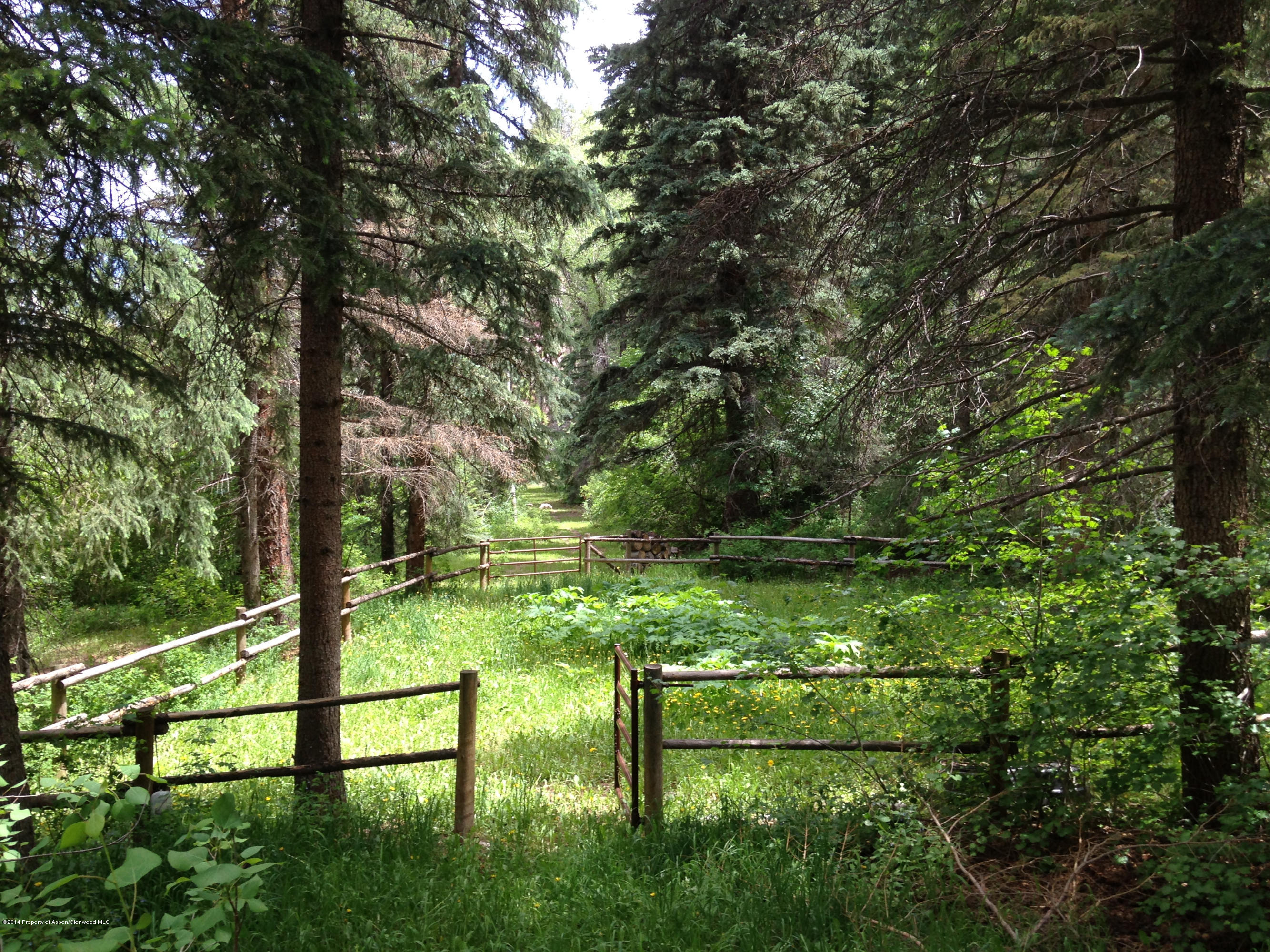 300 Beaver Lane Redstone CO 81623