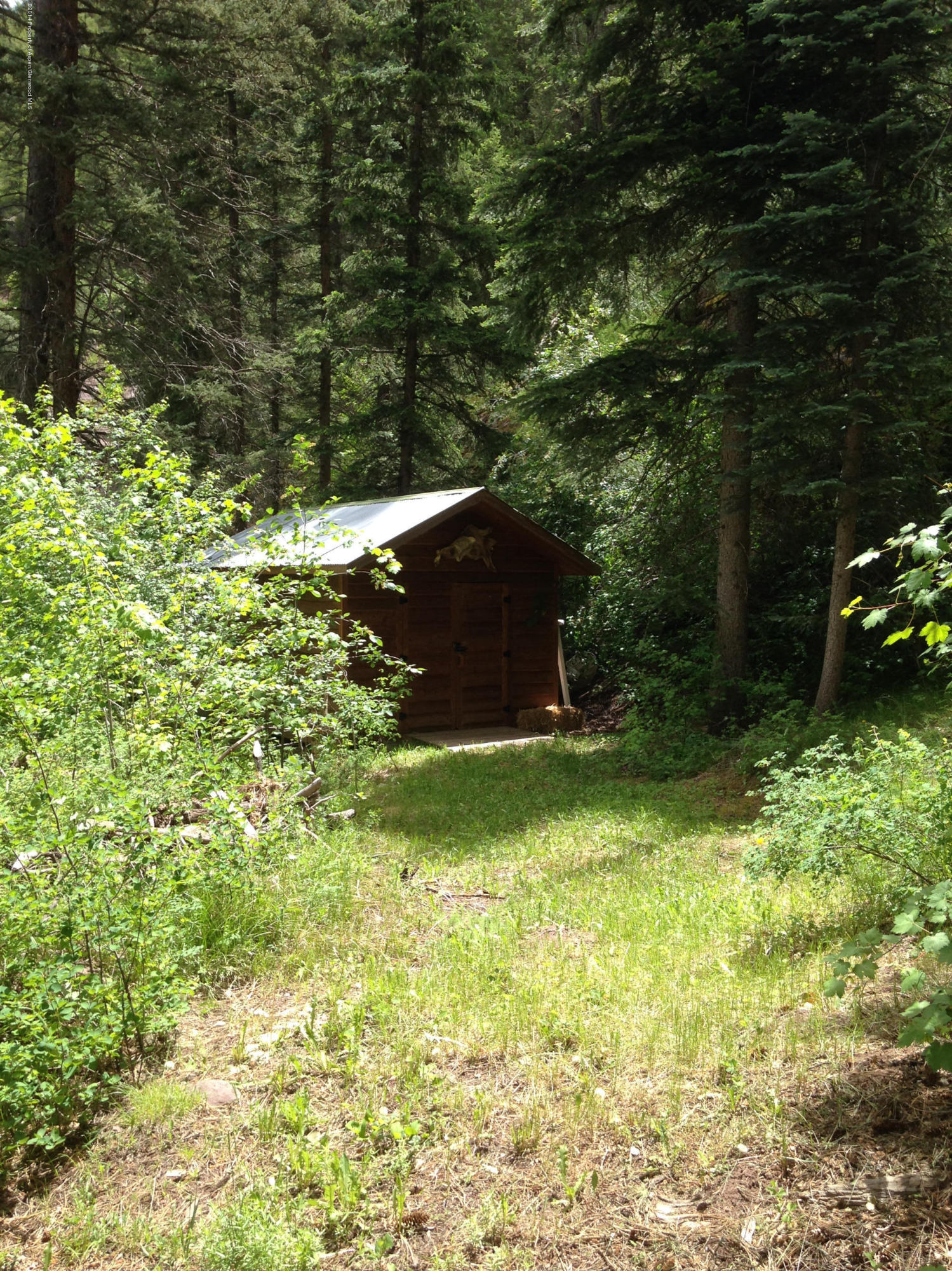 300 Beaver Lane Redstone CO 81623