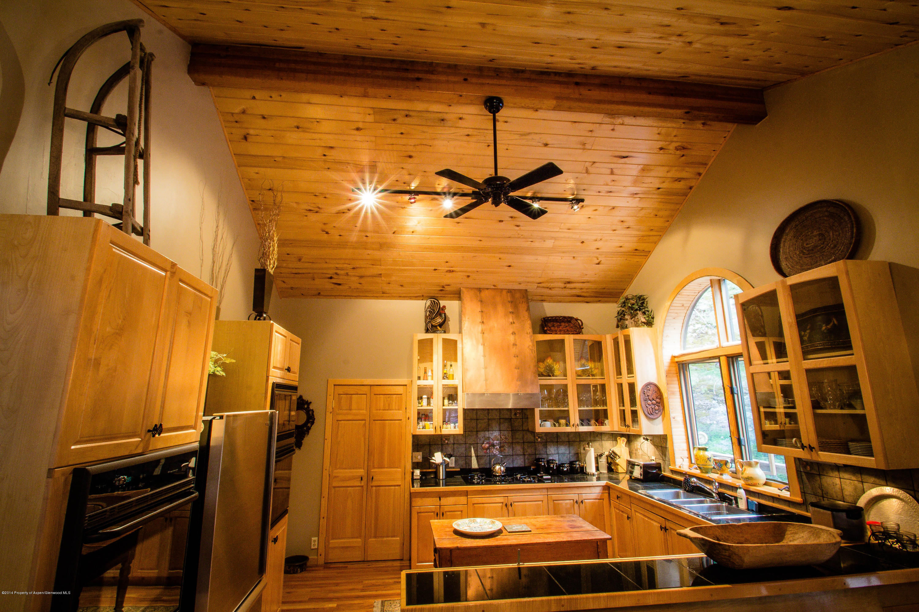 300 Beaver Lane Redstone CO 81623