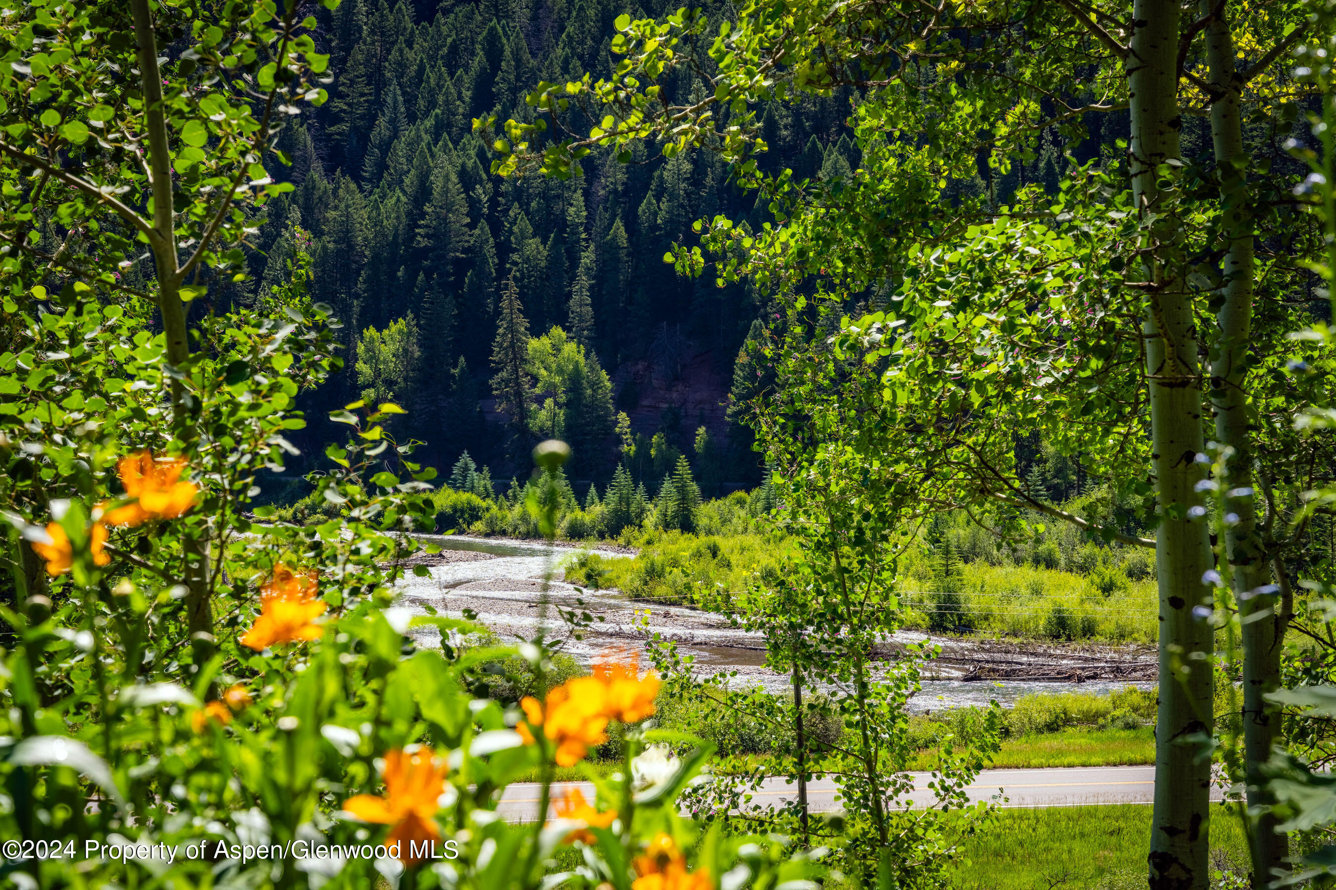 389 Elk Mountain Drive Redstone CO 81623