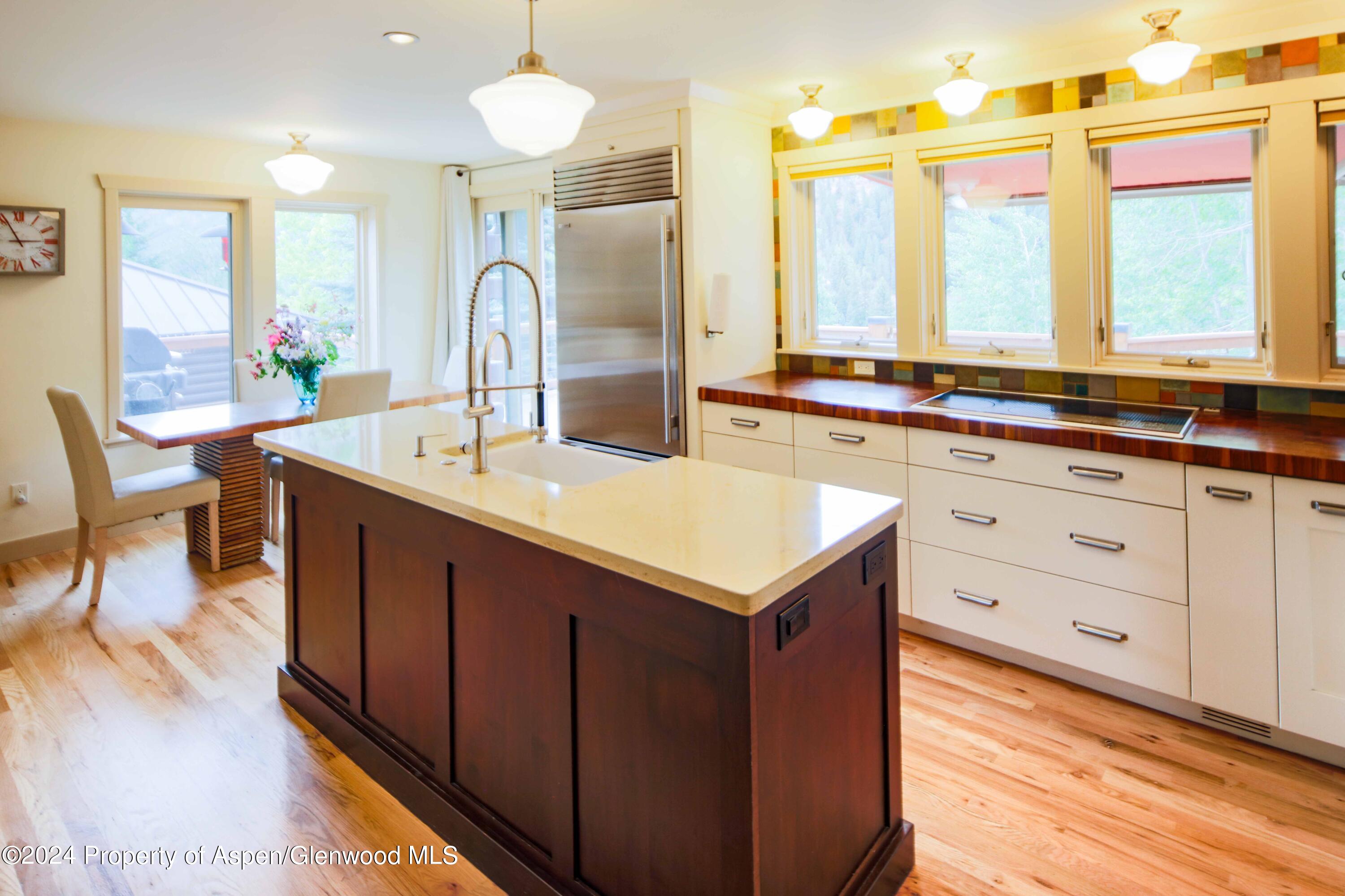 389 Elk Mountain Drive Redstone CO 81623