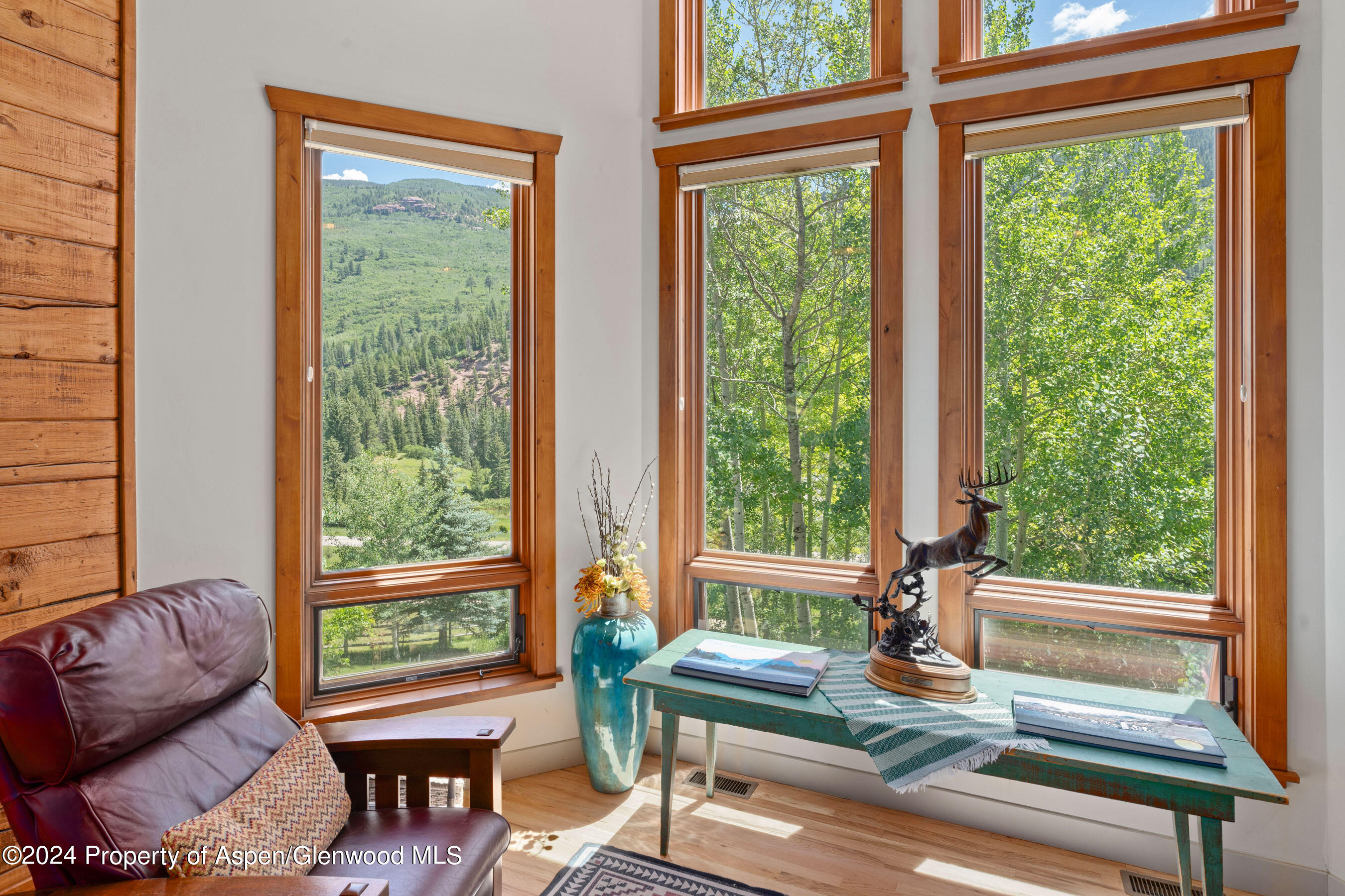 389 Elk Mountain Drive Redstone CO 81623